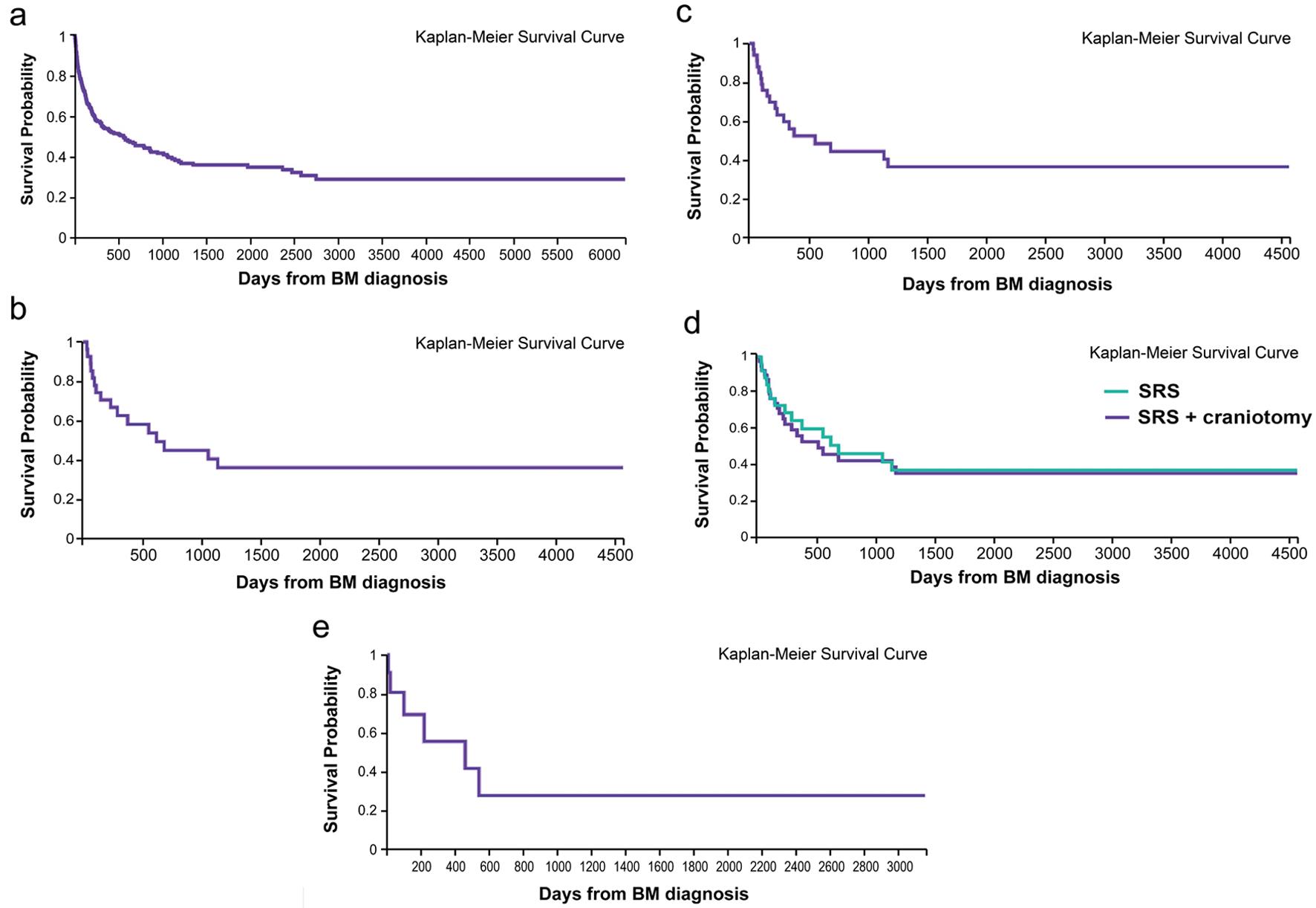 Overall Survival Curves.