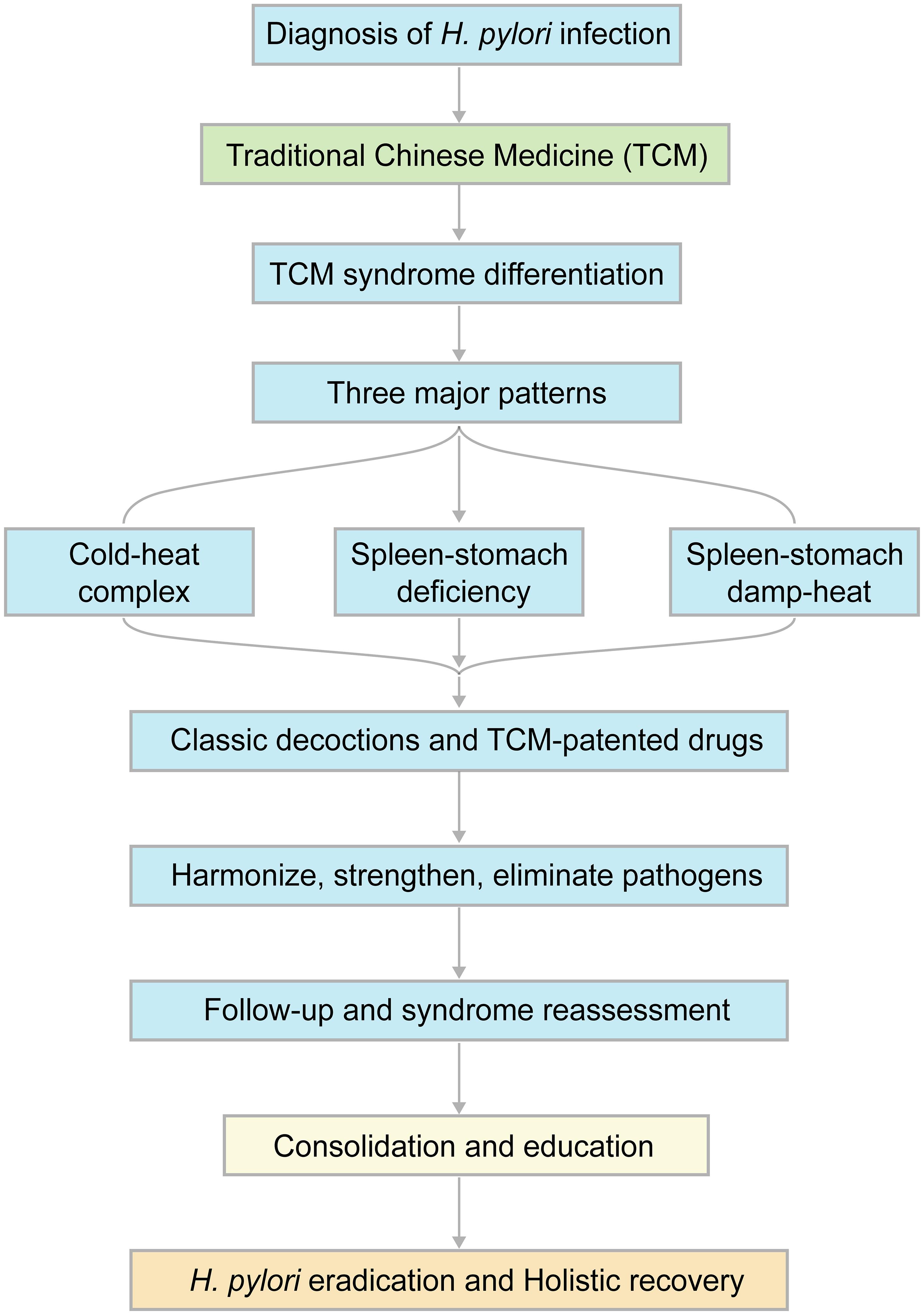 Schematic diagram of the Traditional Chinese Medicine (TCM) diagnostic and therapeutic framework for <italic>Helicobacter pylori</italic> (<italic>H. pylori</italic>) infection.