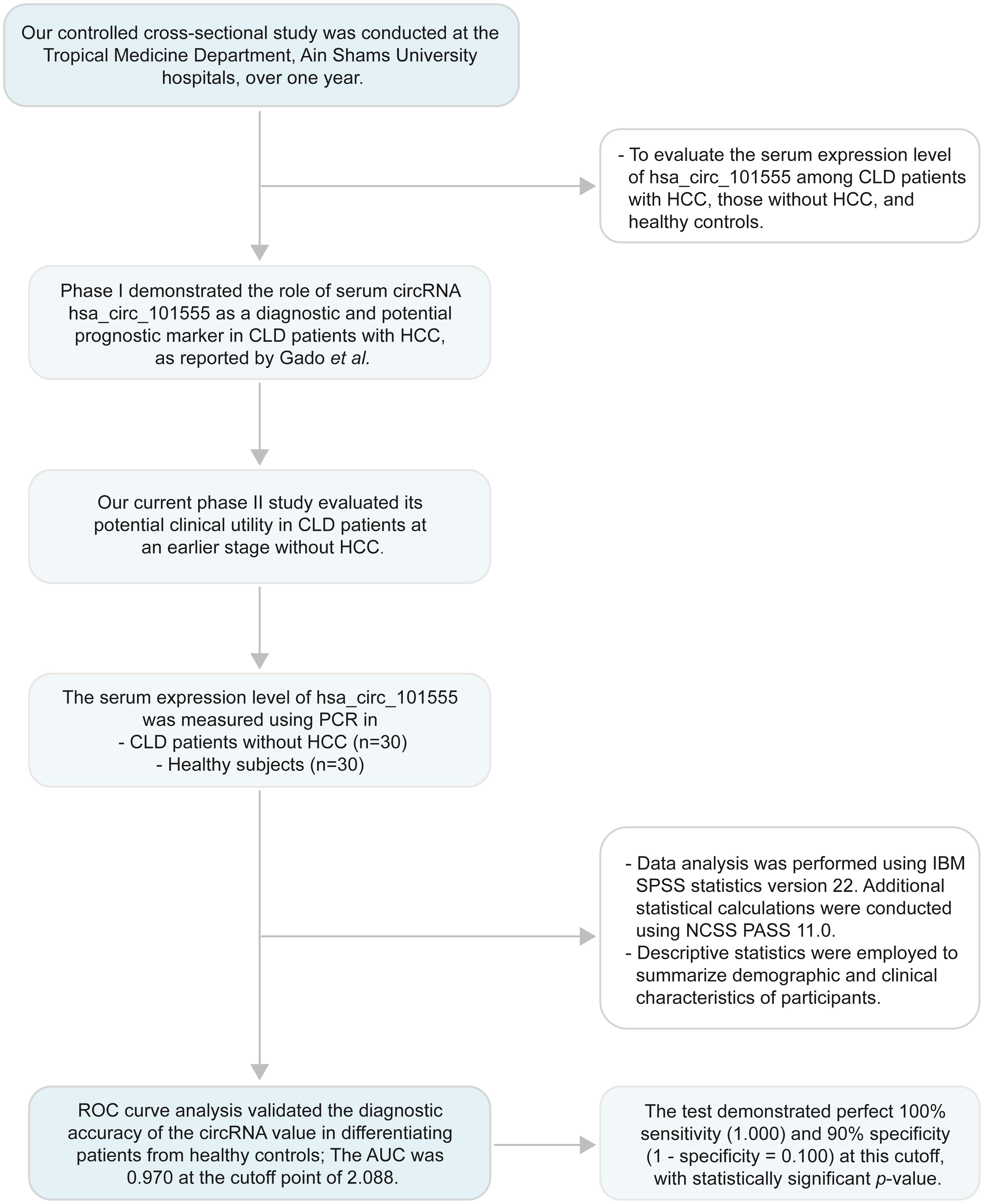 A flowchart illustrates the sequential steps demonstrating the diagnostic value of circRNA in differentiating diseased patients from healthy controls.