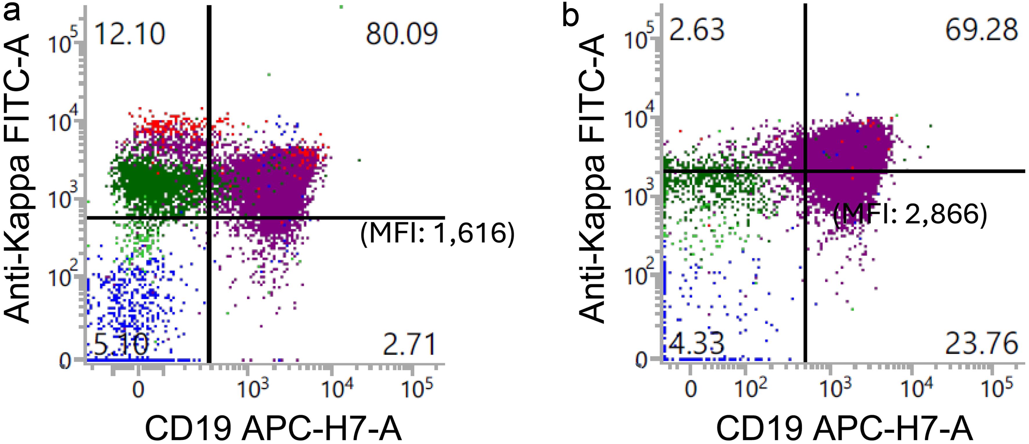 Persistent surface kappa light chain expression in blasts.