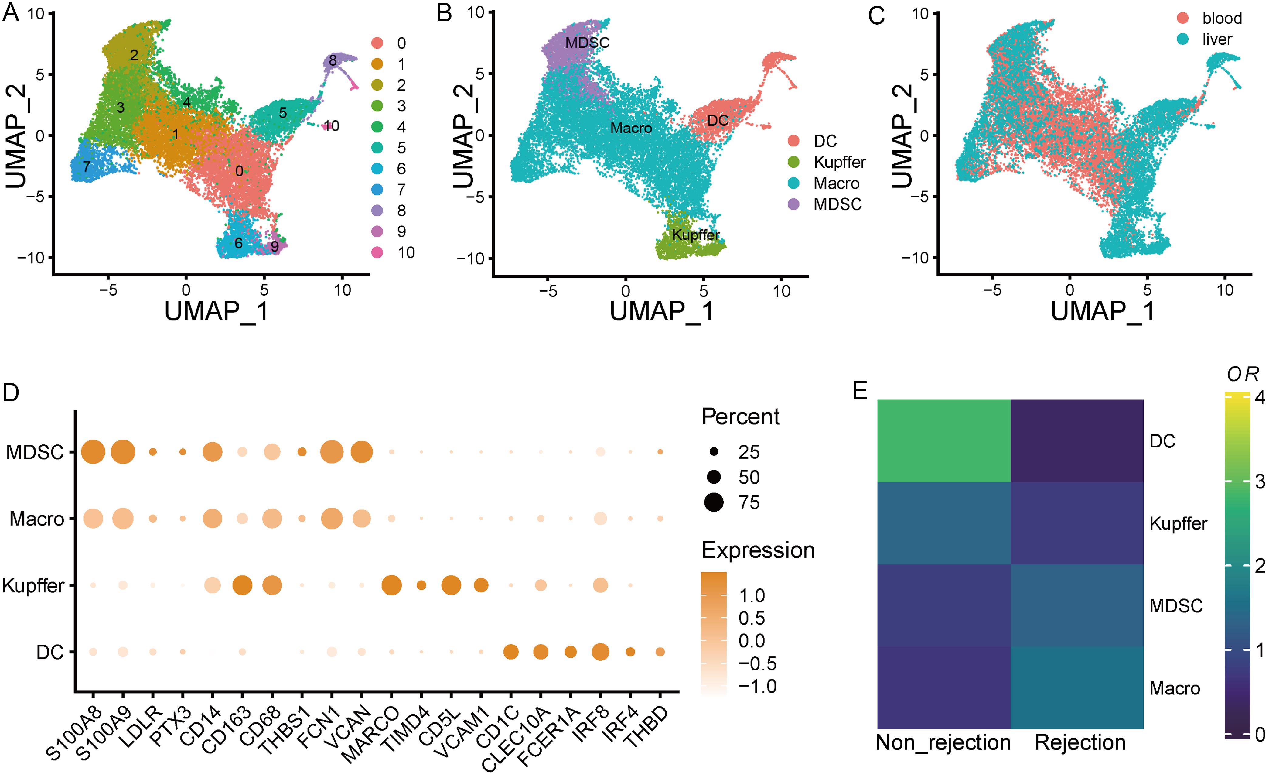 scRNA-seq analysis of humans after liver transplantation.