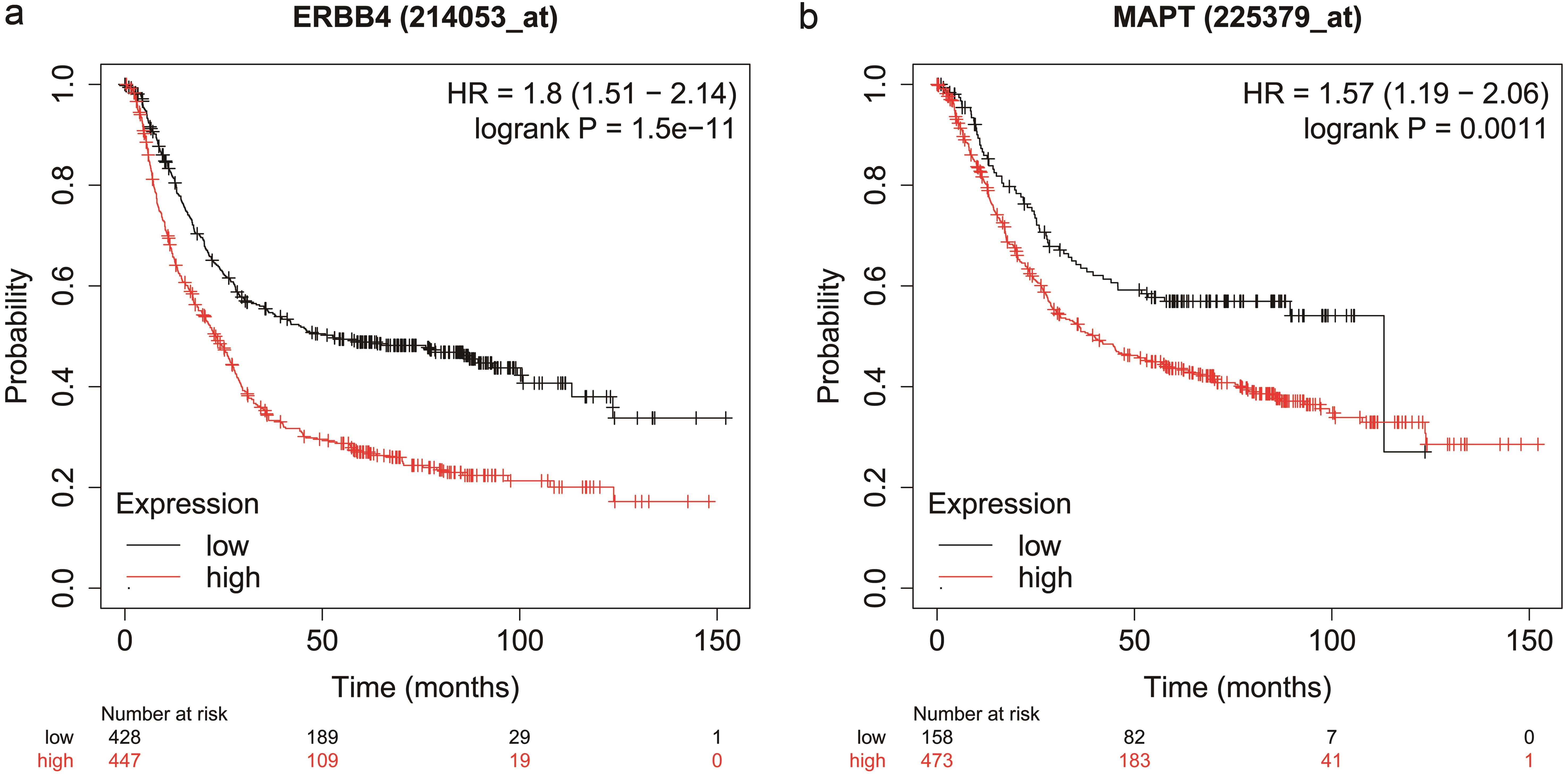 Overall survival analysis of GC patients.