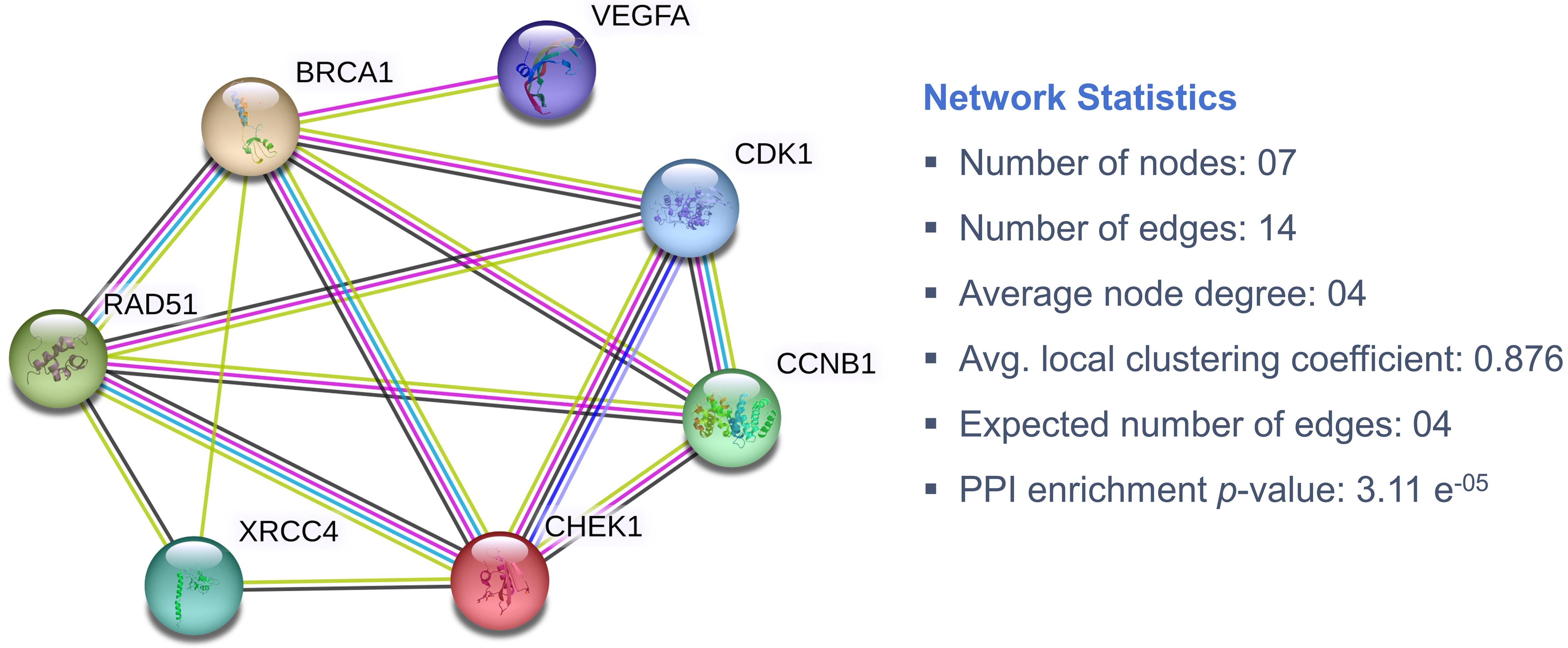PPI network of seven selected genes with statistics using STRING.