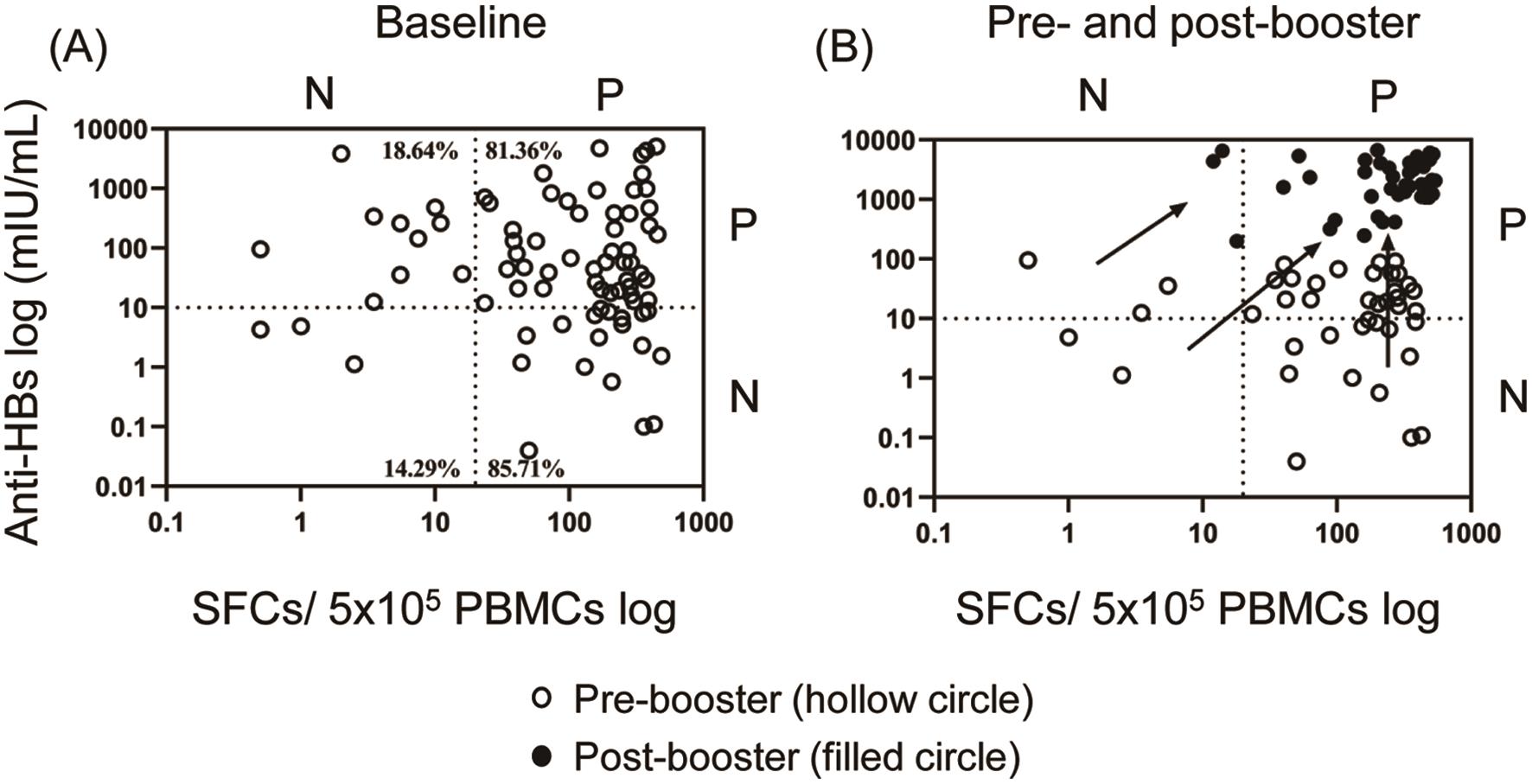 Distribution of positive and negative humoral and cellular immunity pre- and post-booster.