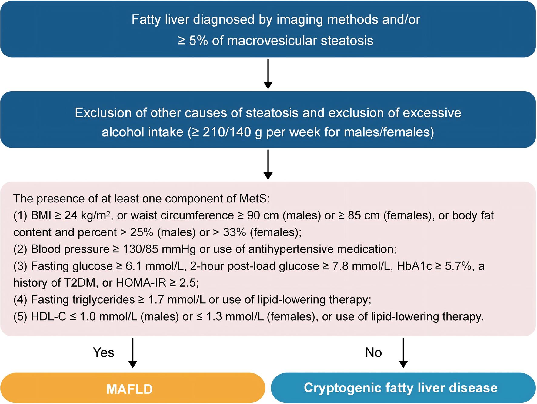 The diagnostic flow chart of MAFLD.