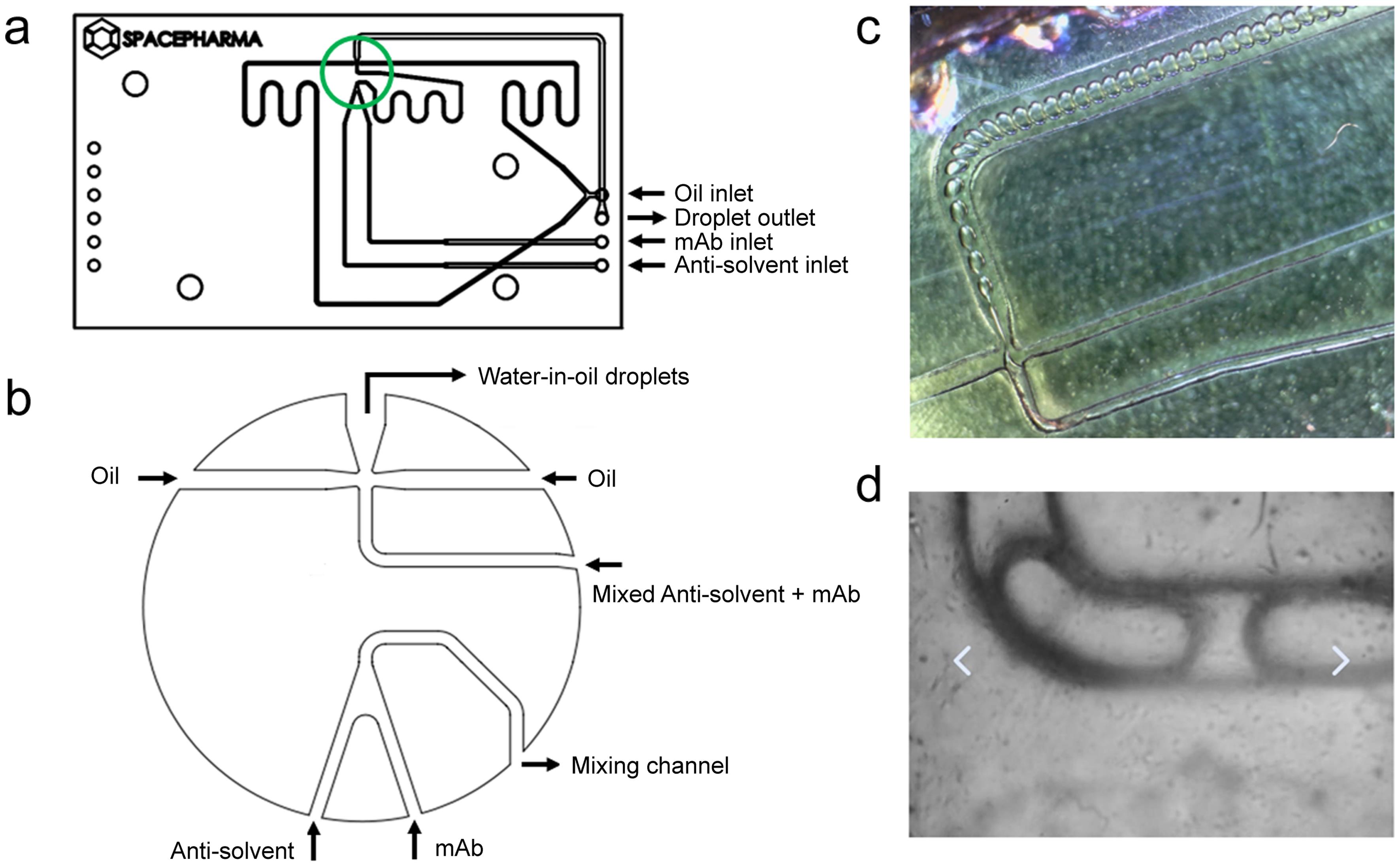 Schematic configuration of customized lab-on-chip design for mAb crystallization in orbit.