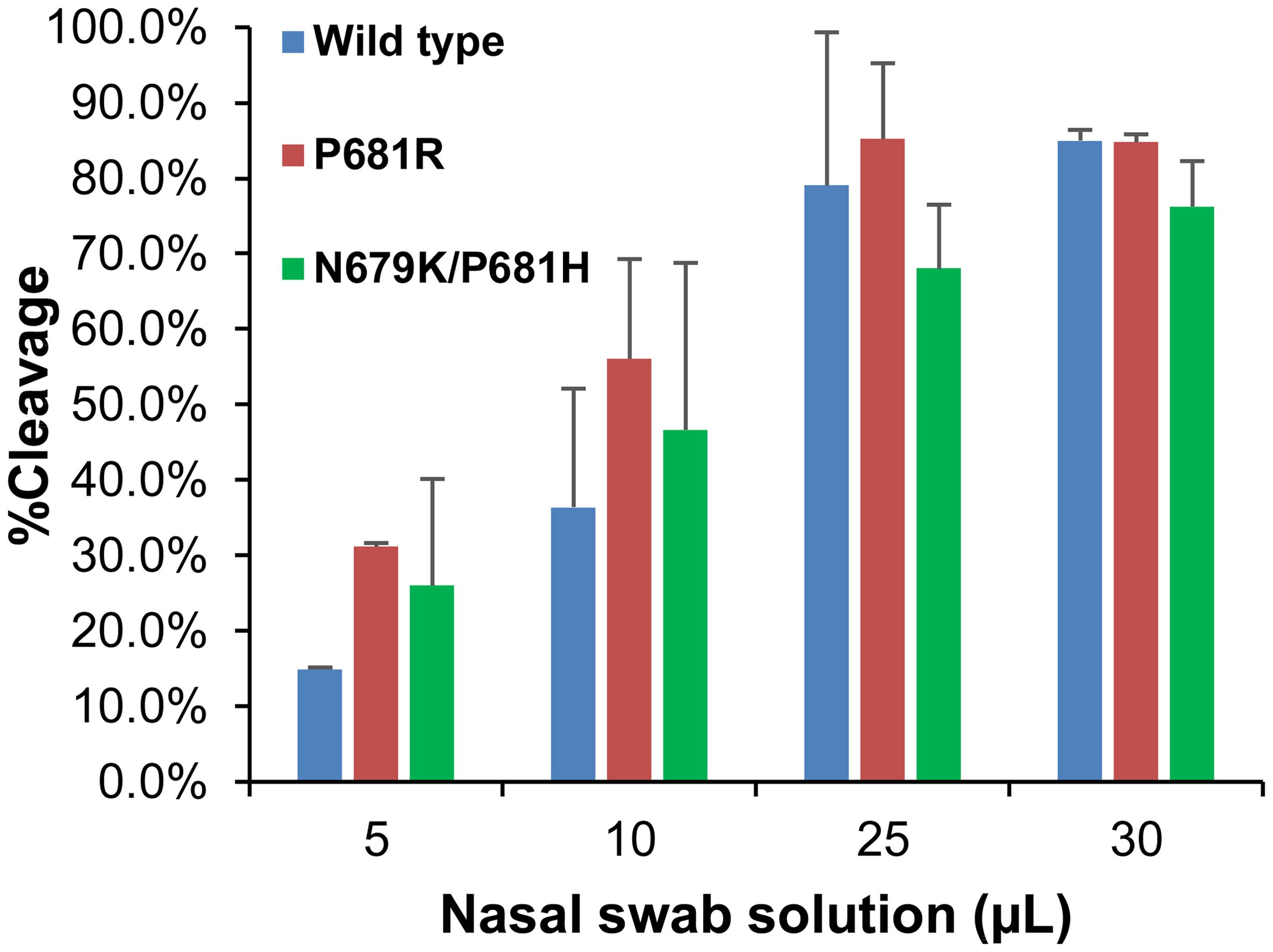 Cleavage of the SARS-CoV-2 wild-type, P681R, and N679K/P681H mutant FCS by the nasal swab sample at different amounts.