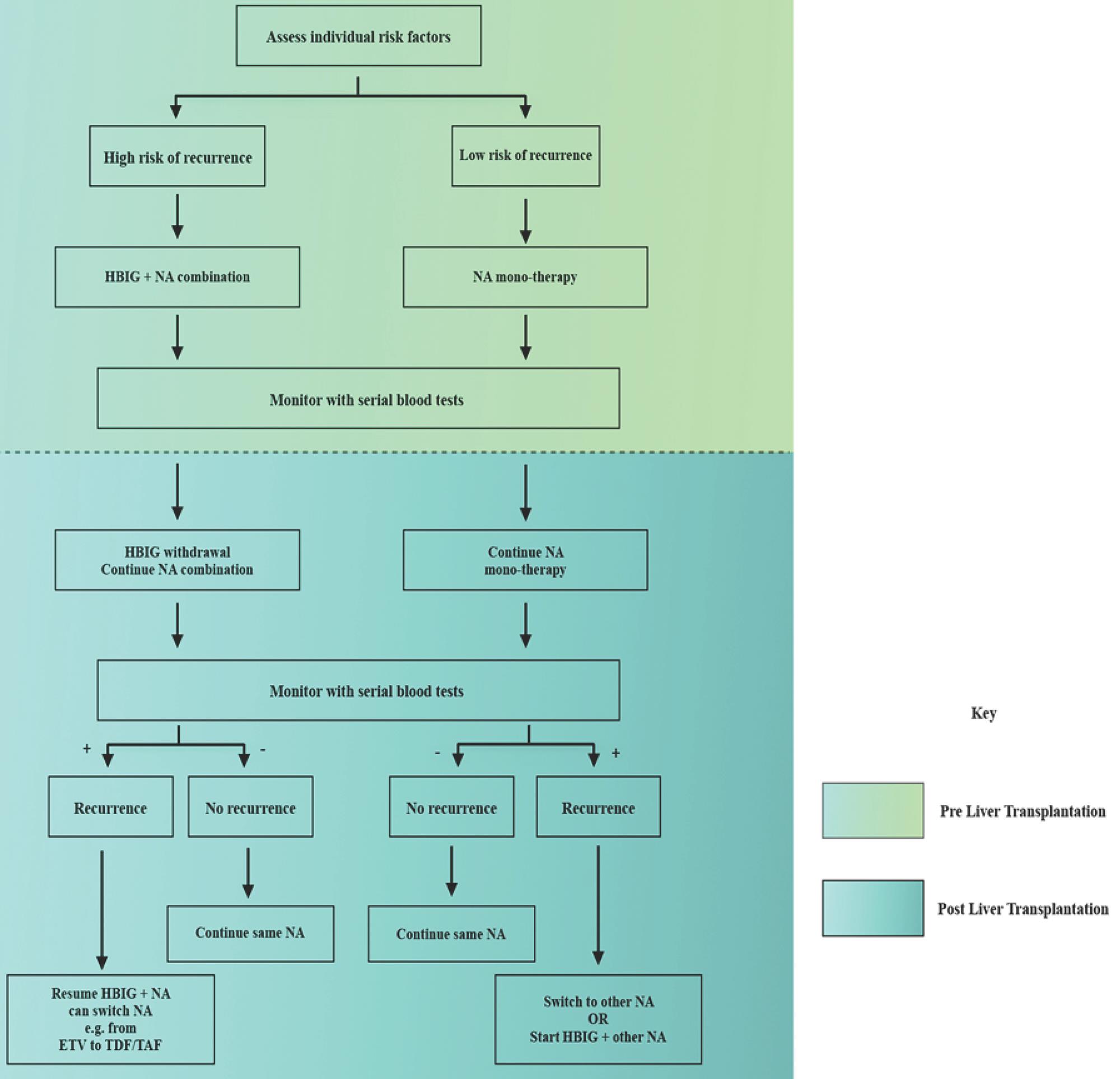An algorithm for suggested approach towards prevention and management of HBV recurrence in post-liver transplant patients.