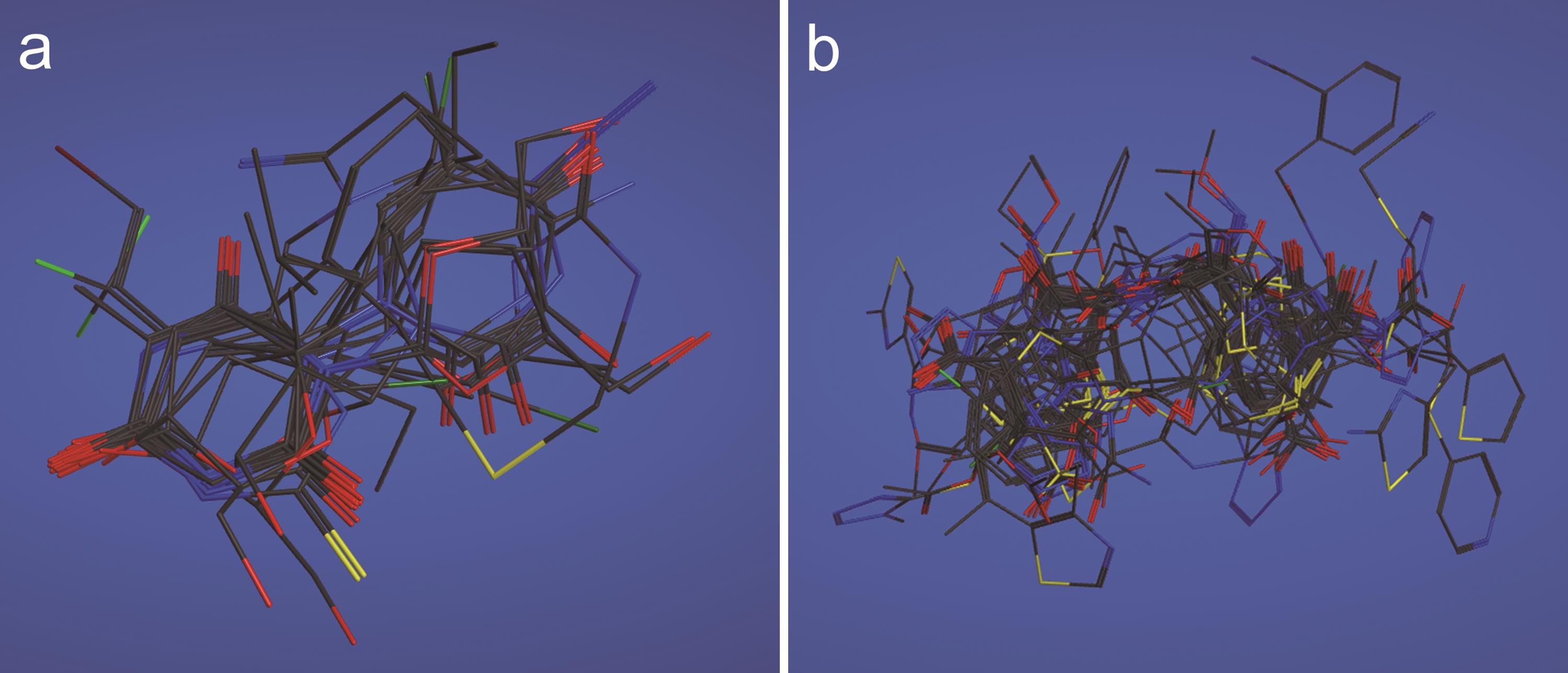 Flexible alignments of compounds in clusters selected by the pharmacophore-based search of possible drug candidates in the conformational database of FDA-approved drugs.