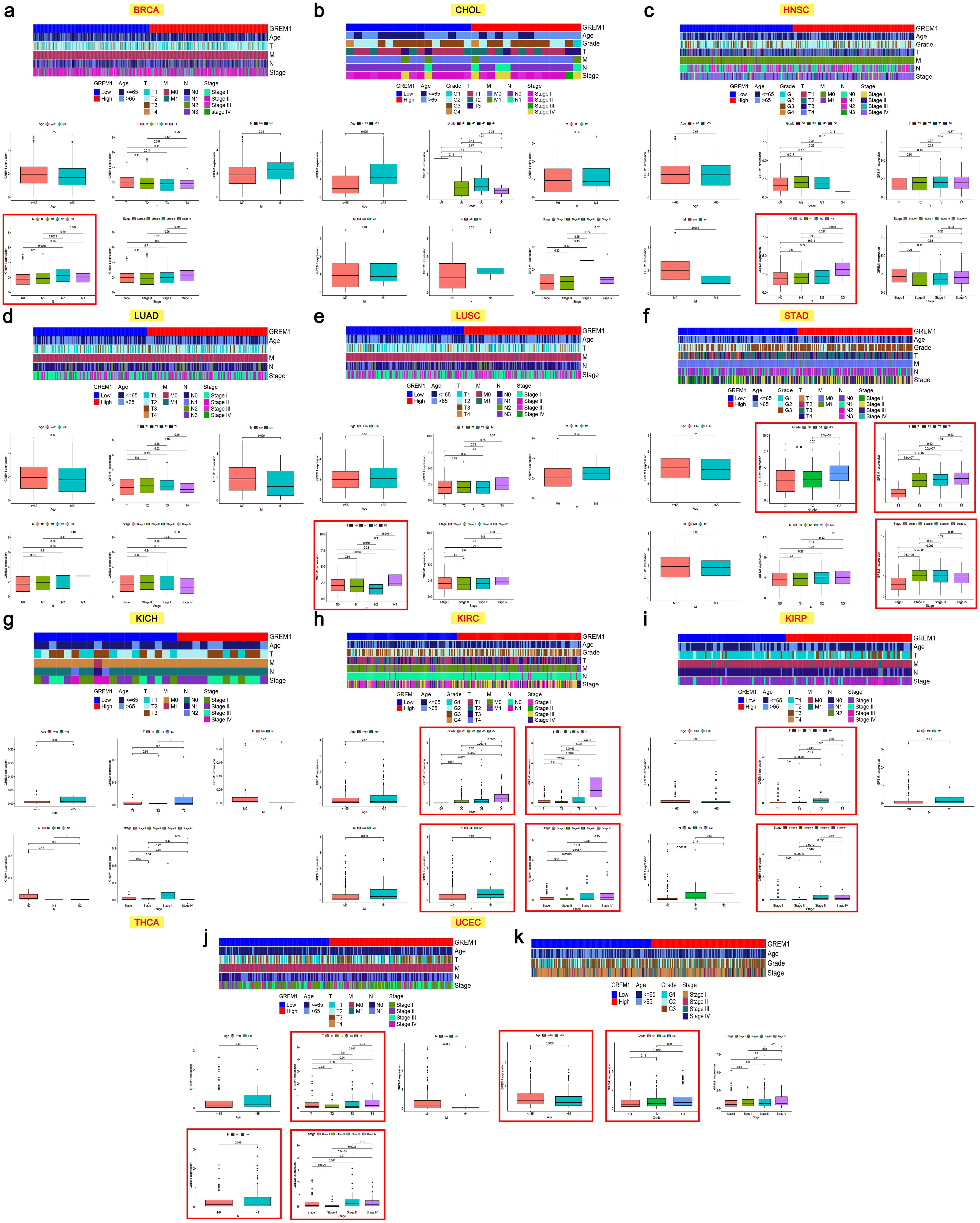 Expression of GREM1 in different clinicopathological characteristics.