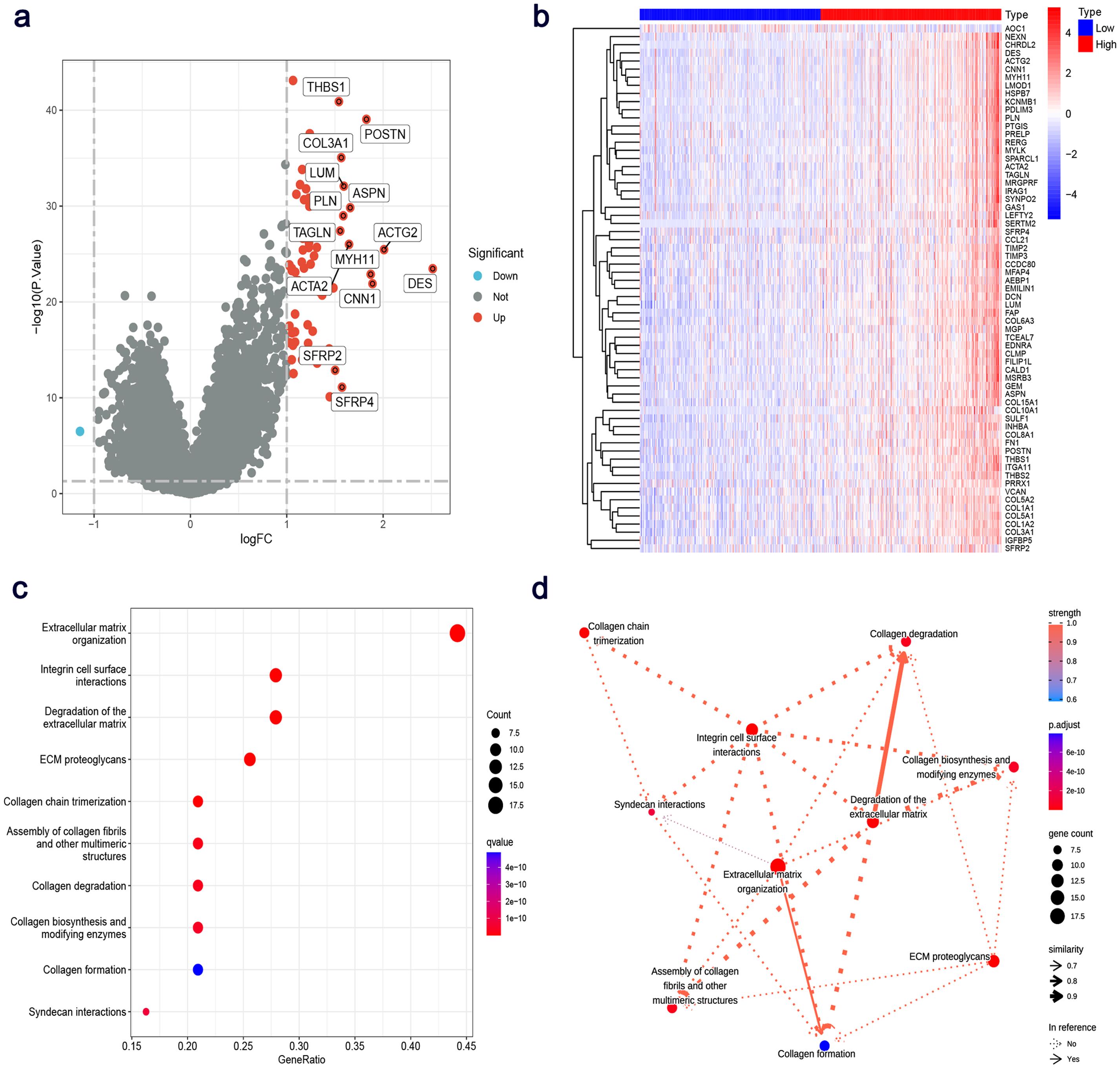 Identification of DEGs in low-GREM1 and high-GREM1 expression groups.