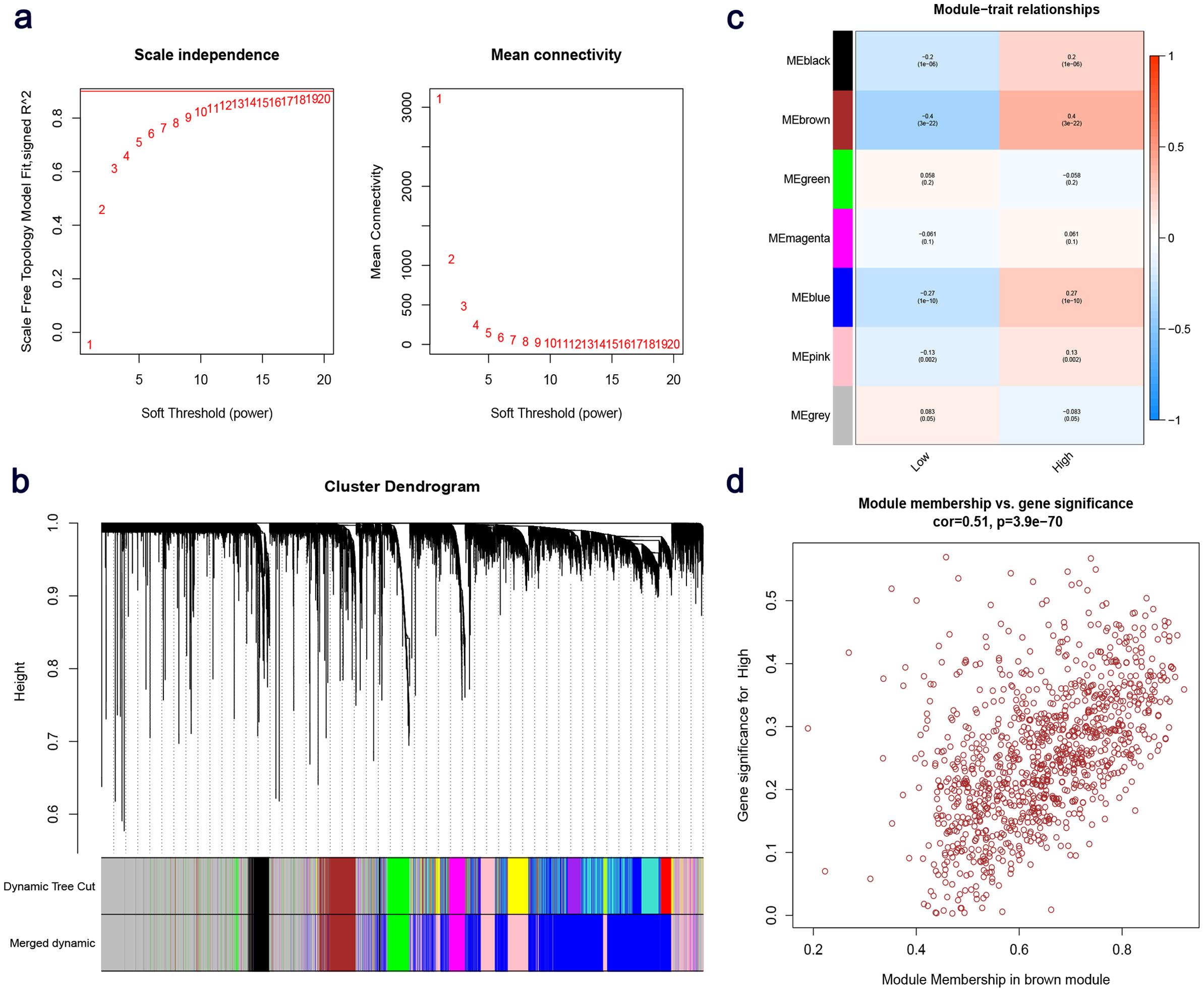 Construction of a weighted gene co-expression network.