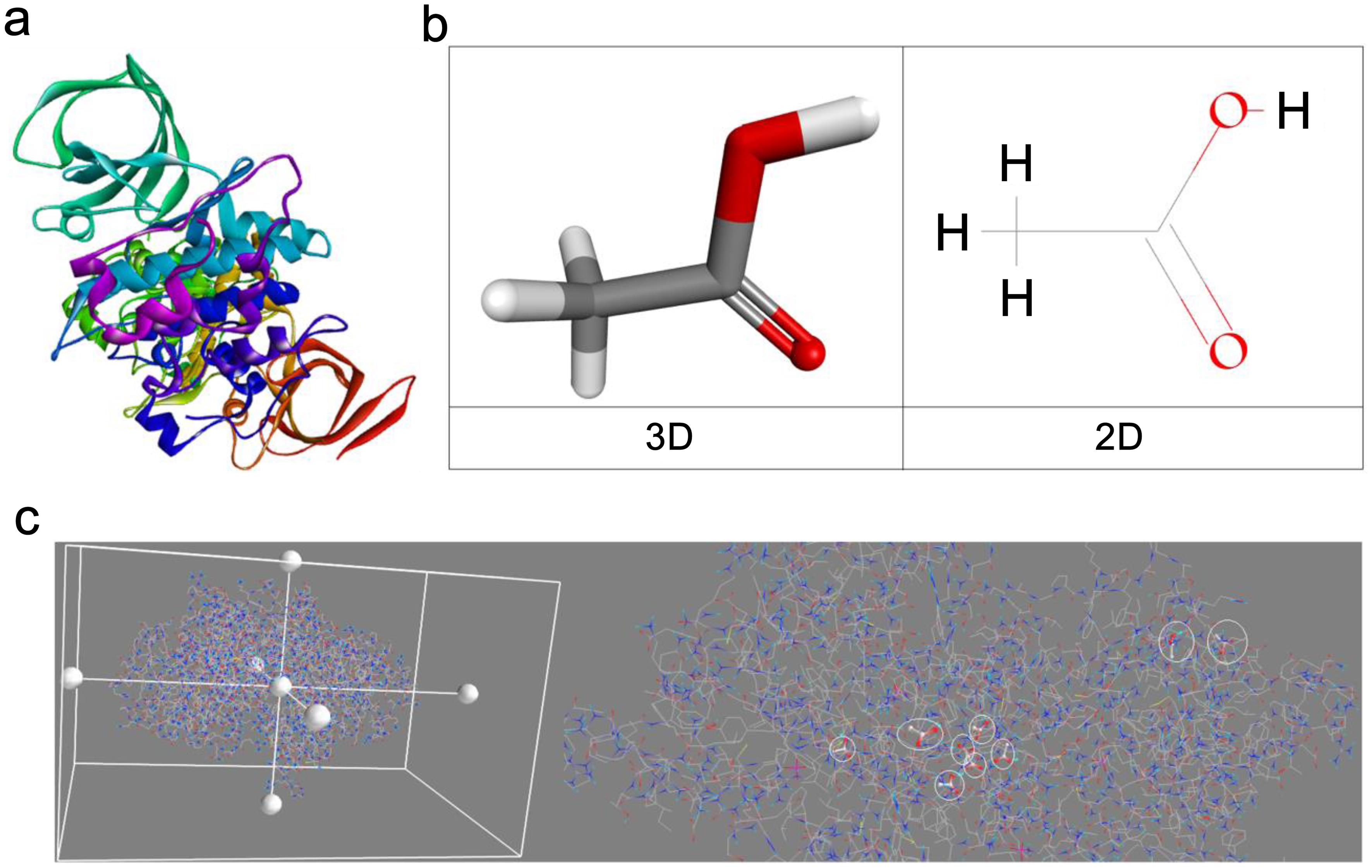 (a) 3D structure of glycogen synthase kinase-3 (GSK-3β) enzyme (PDB ID 1i09); (b) Structure of Cadmium acetate [PubChem compound identifier 10986]; and (c) Areas of interaction of Cadmium with the enzyme glycogen synthase kinase-3.