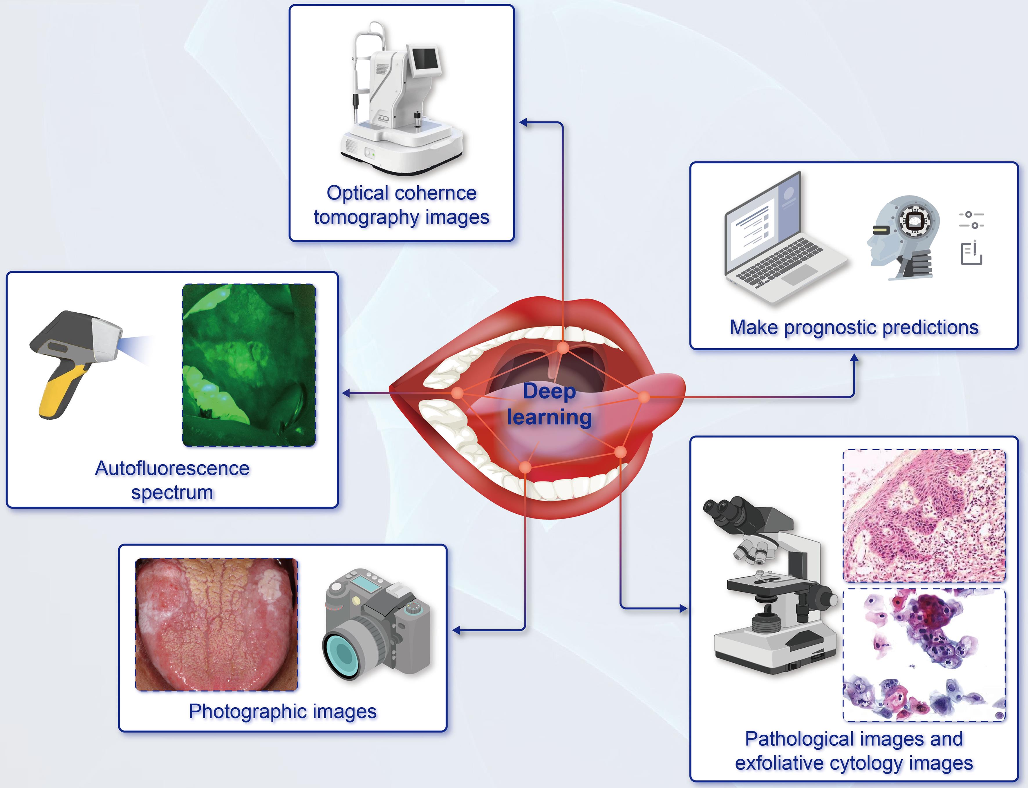 Deep learning models can be applied to assist in the diagnosis and prognosis of oral potentially malignant disorders.