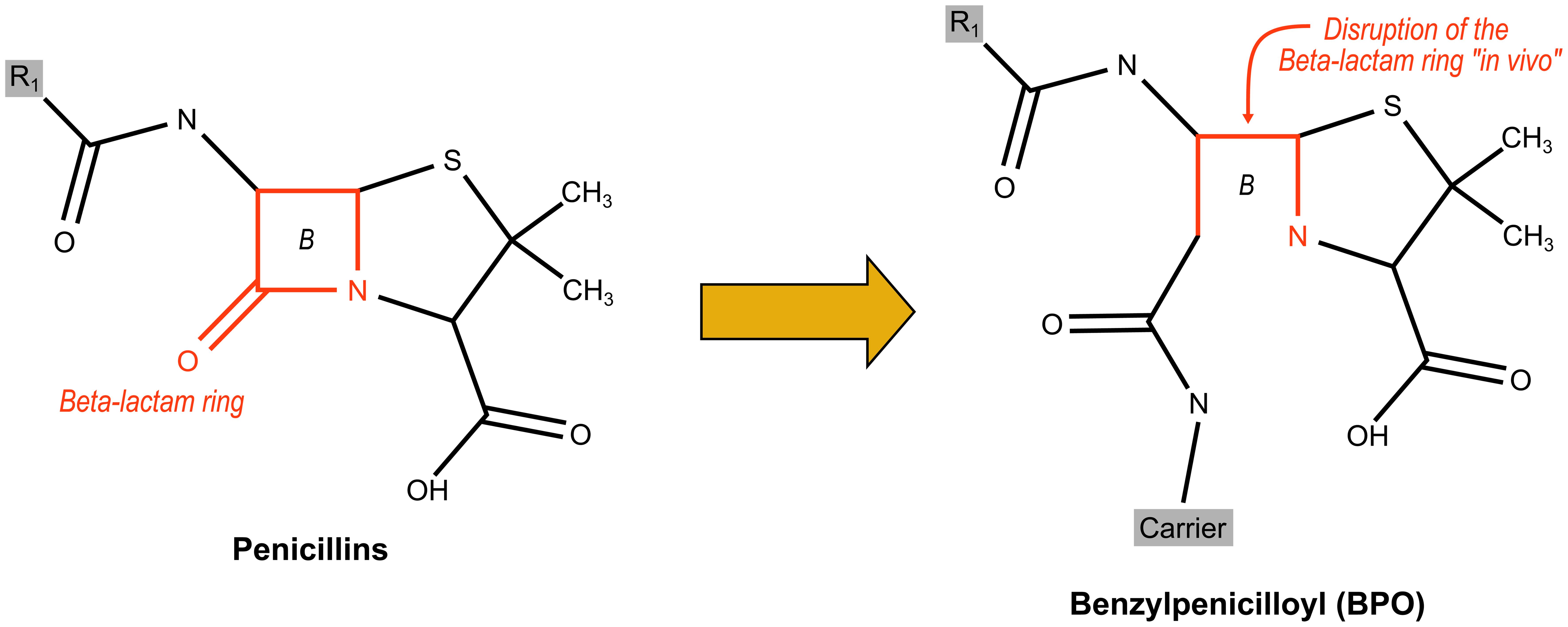 Penicillin structure.