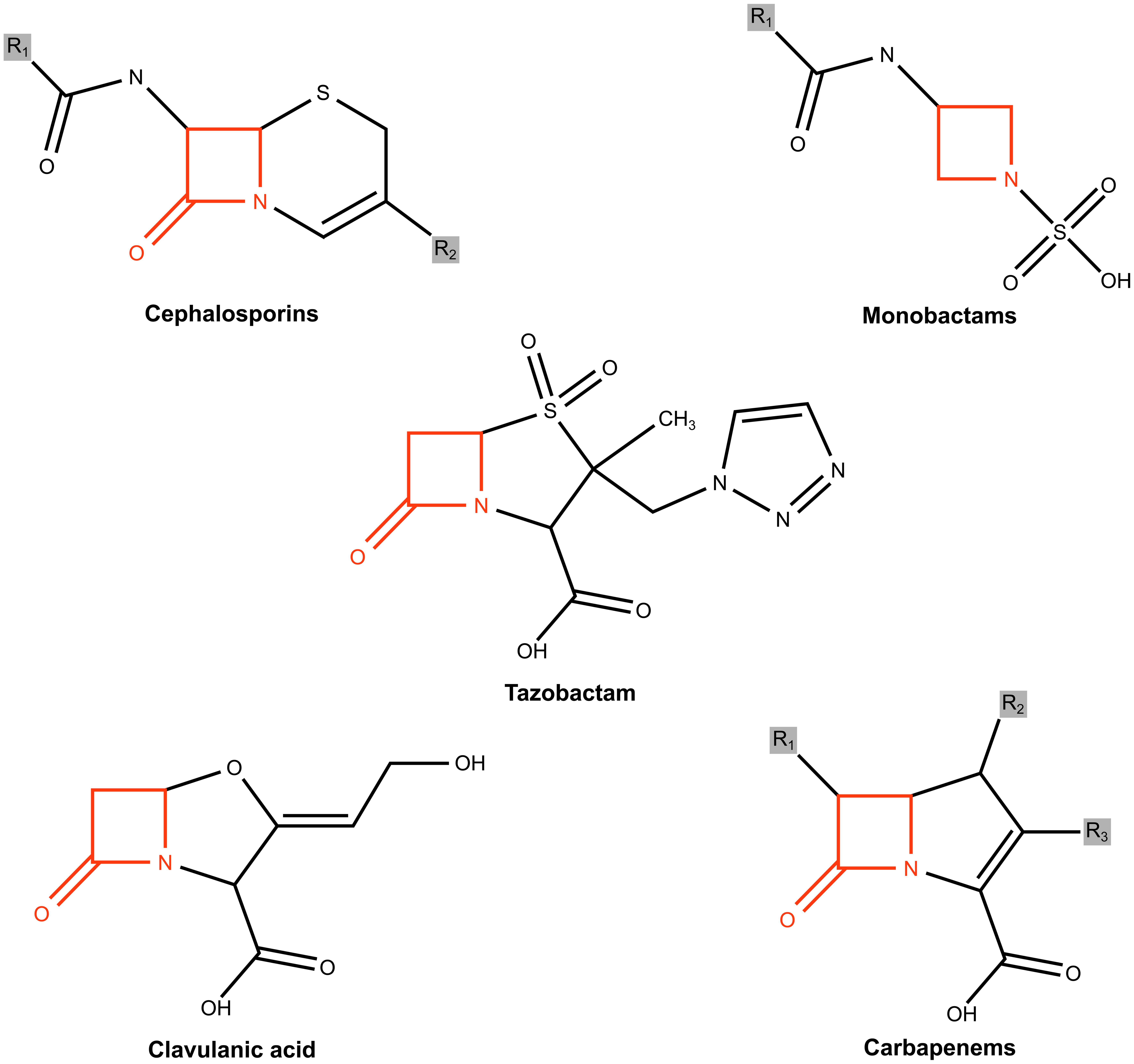 Structures of the various Beta lactams (BL).