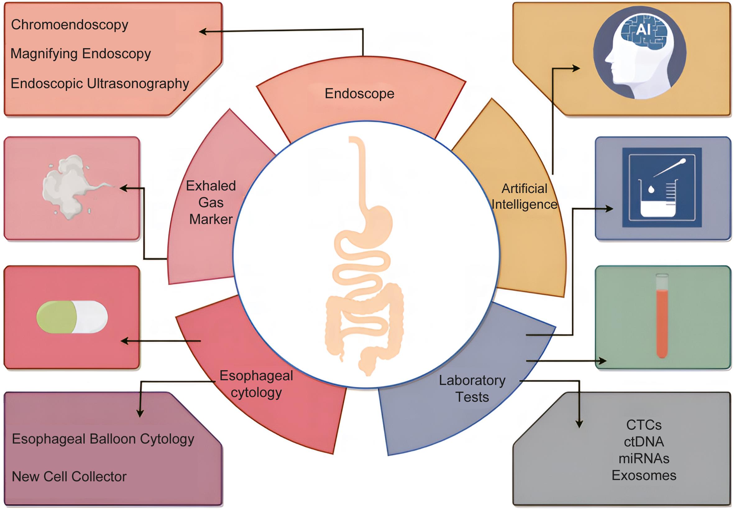 Methods of screening for esophageal cancer.