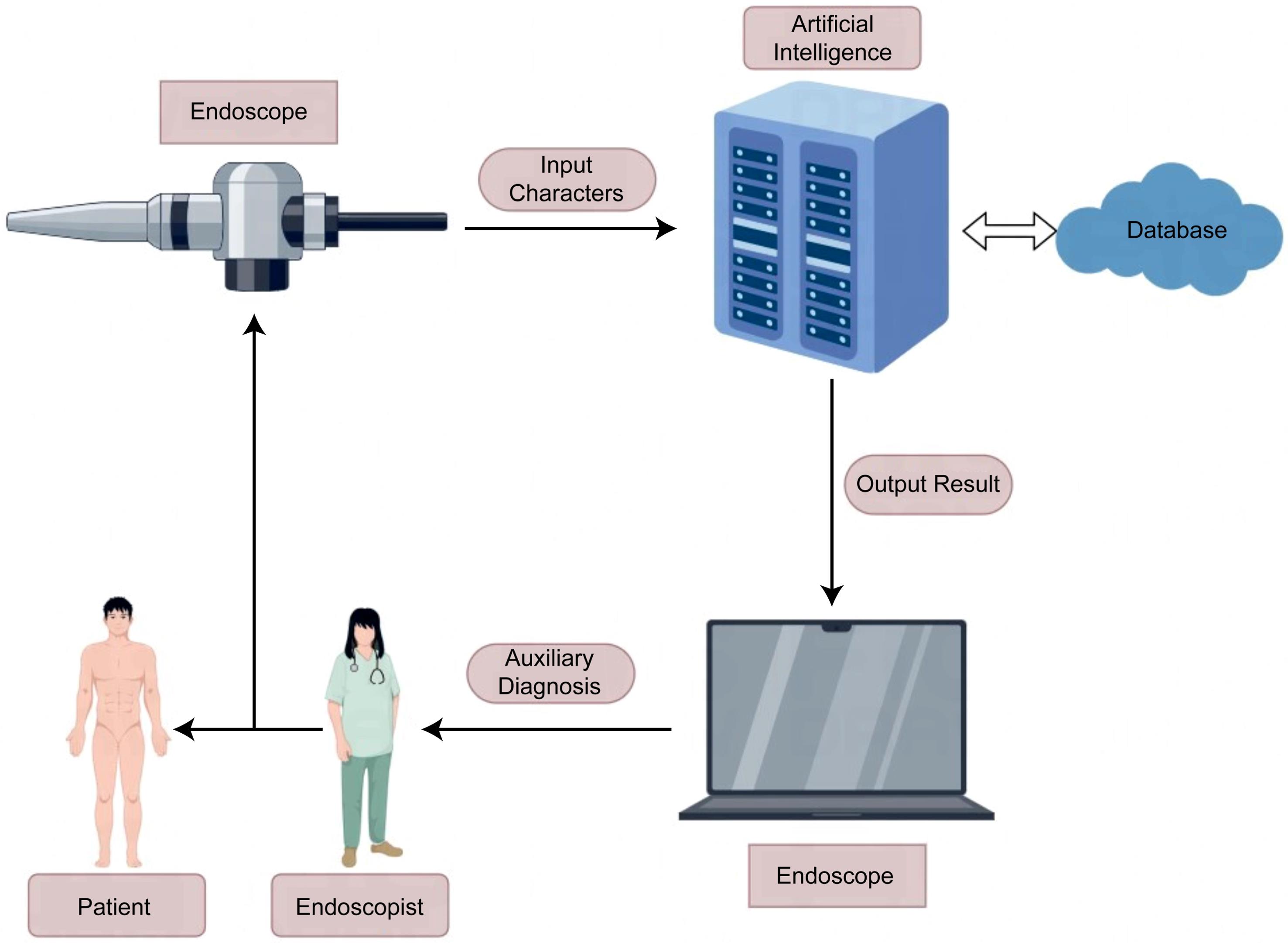 Flow chart of AI-assisted endoscopist.