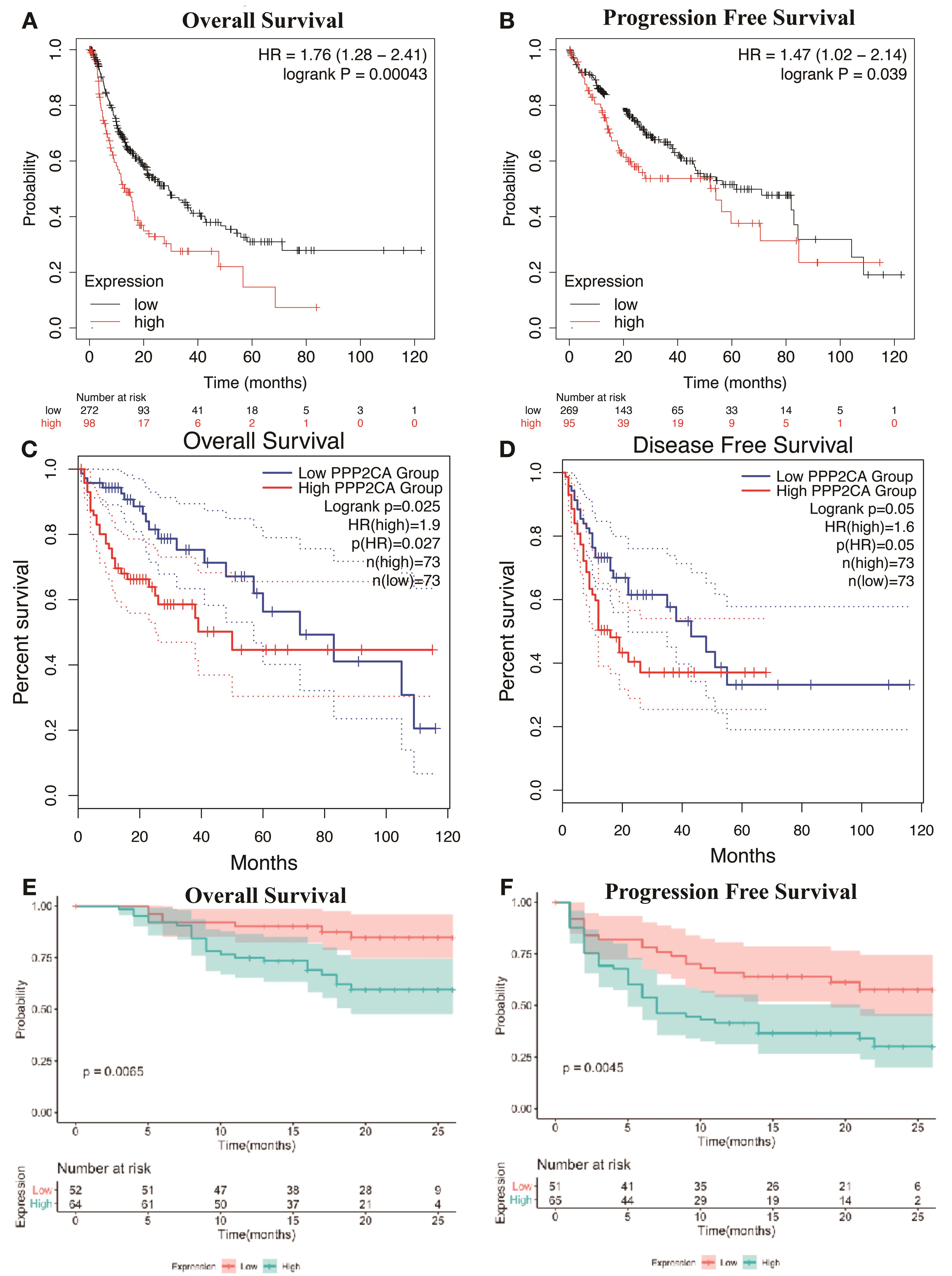 Overall survival and progression-free survival of hepatocellular patients, stratified based on PPP2CA expression, according to the Kaplan-Meier plotter (A–B), GEPIA (C–D) and our in-house RNA-Seq database (E–F).
