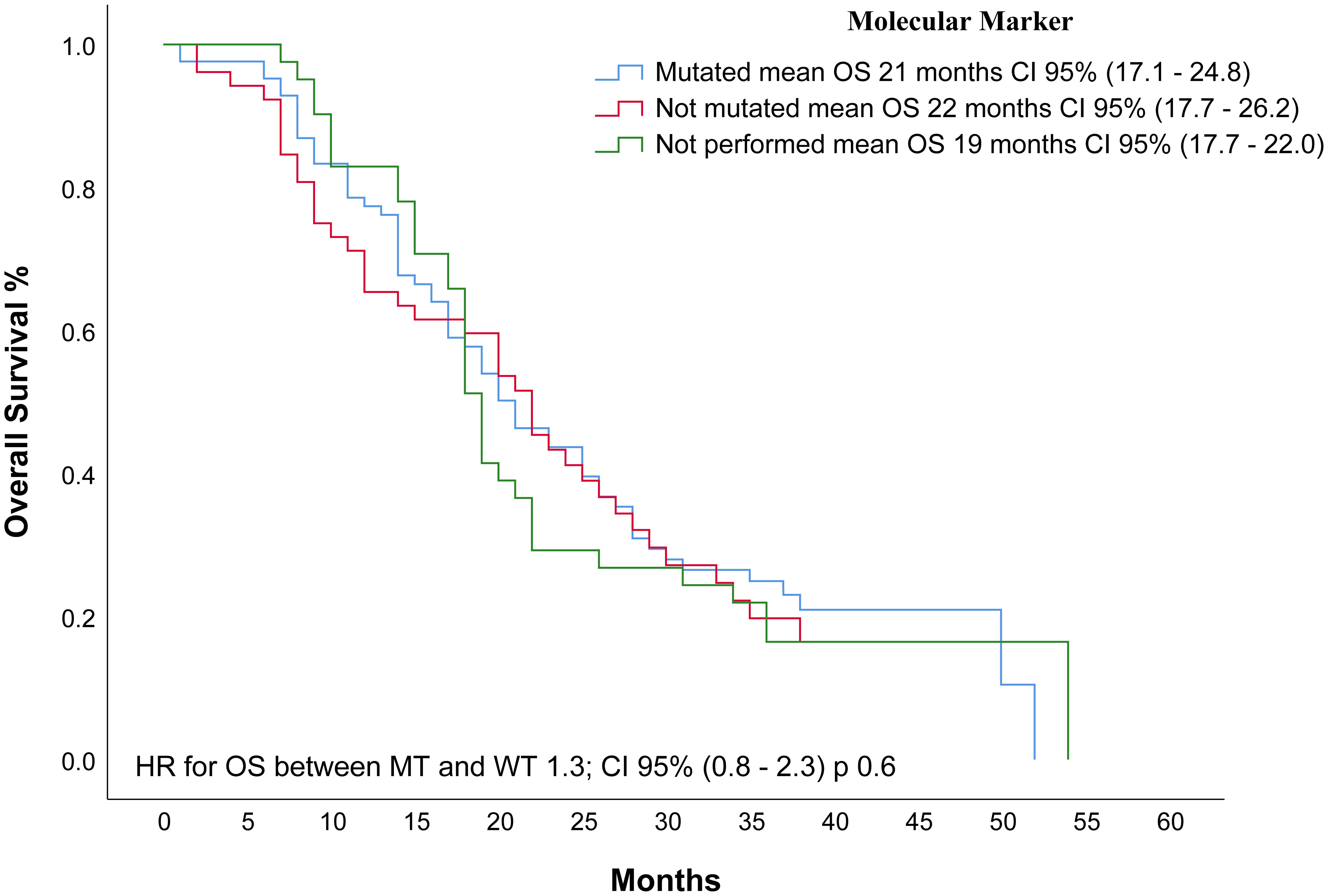 Kaplan-Meier OS in 177 patients with metastatic CRC from the HEEE according to molecular markers.