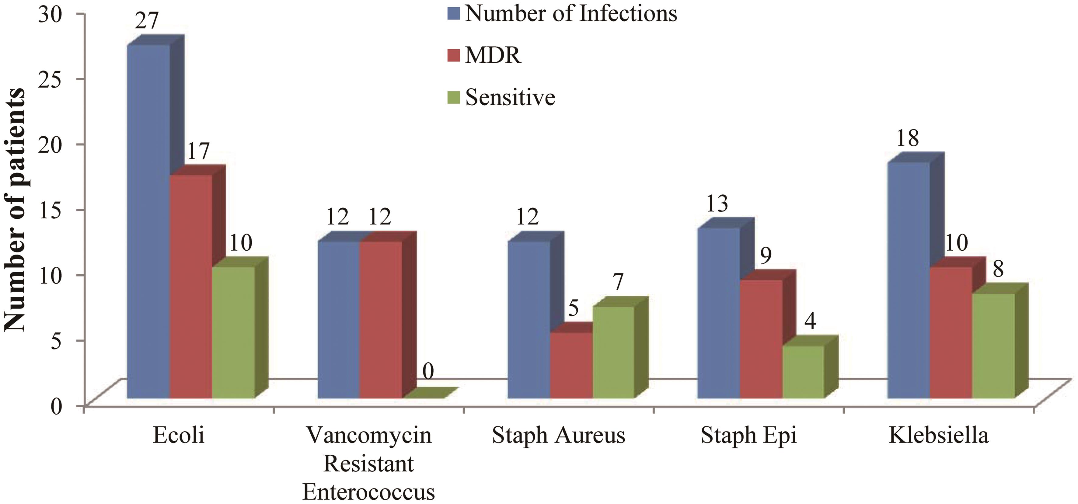 Top five bacteria isolated from cirrhotic patients.