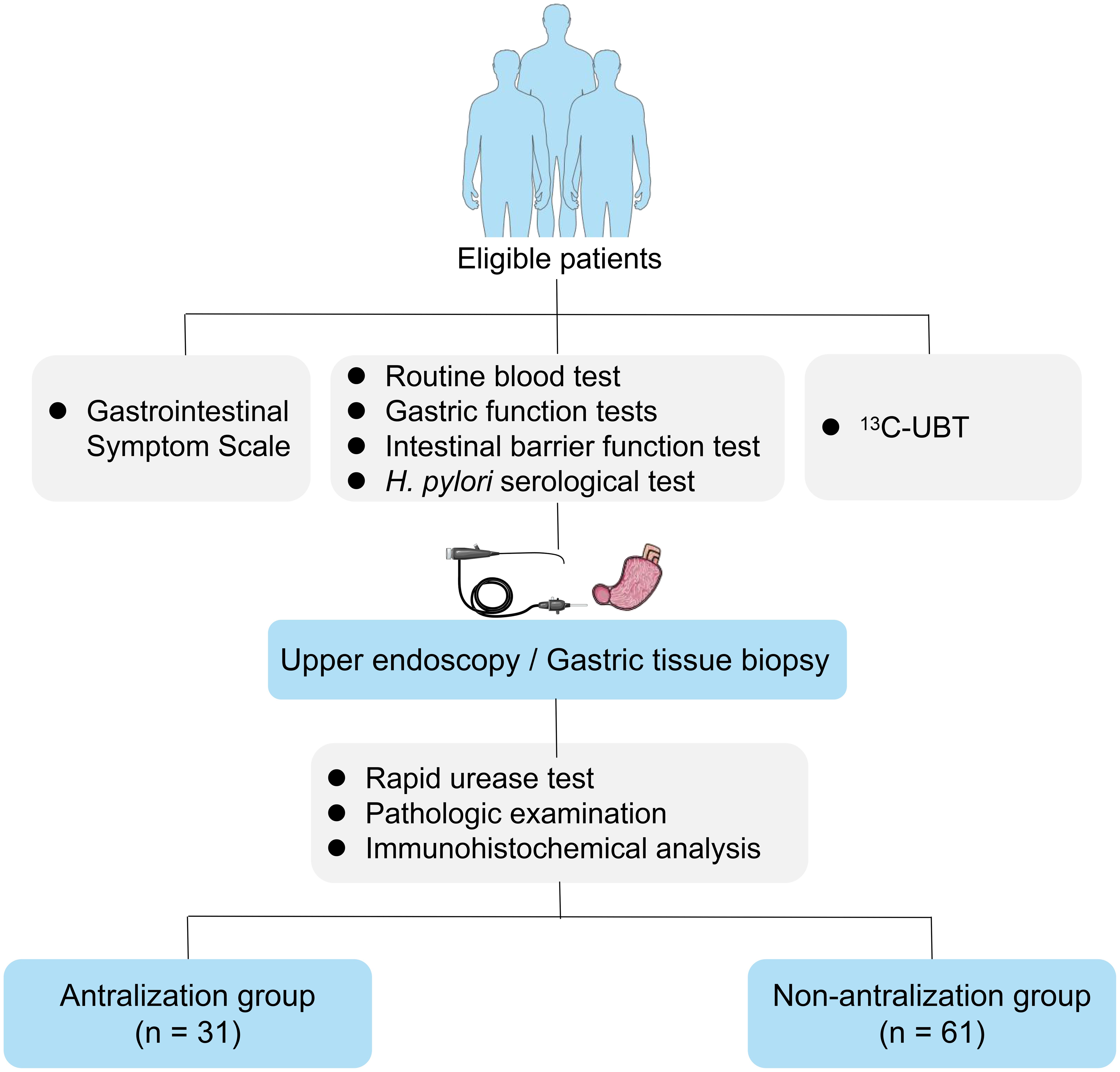 Study procedures and participant classification.