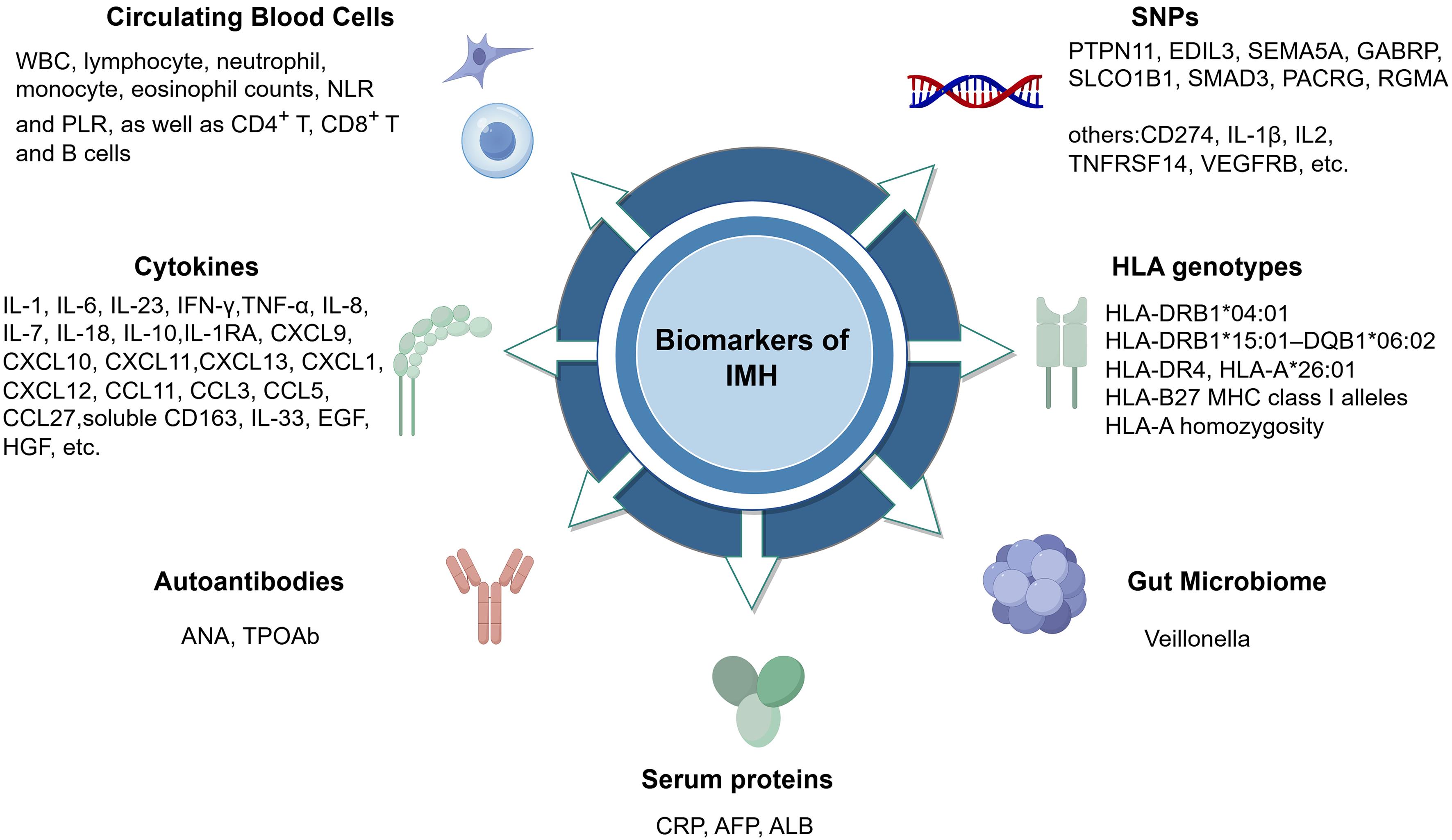 The potential biomarkers of ICI-mediated hepatotoxicity.