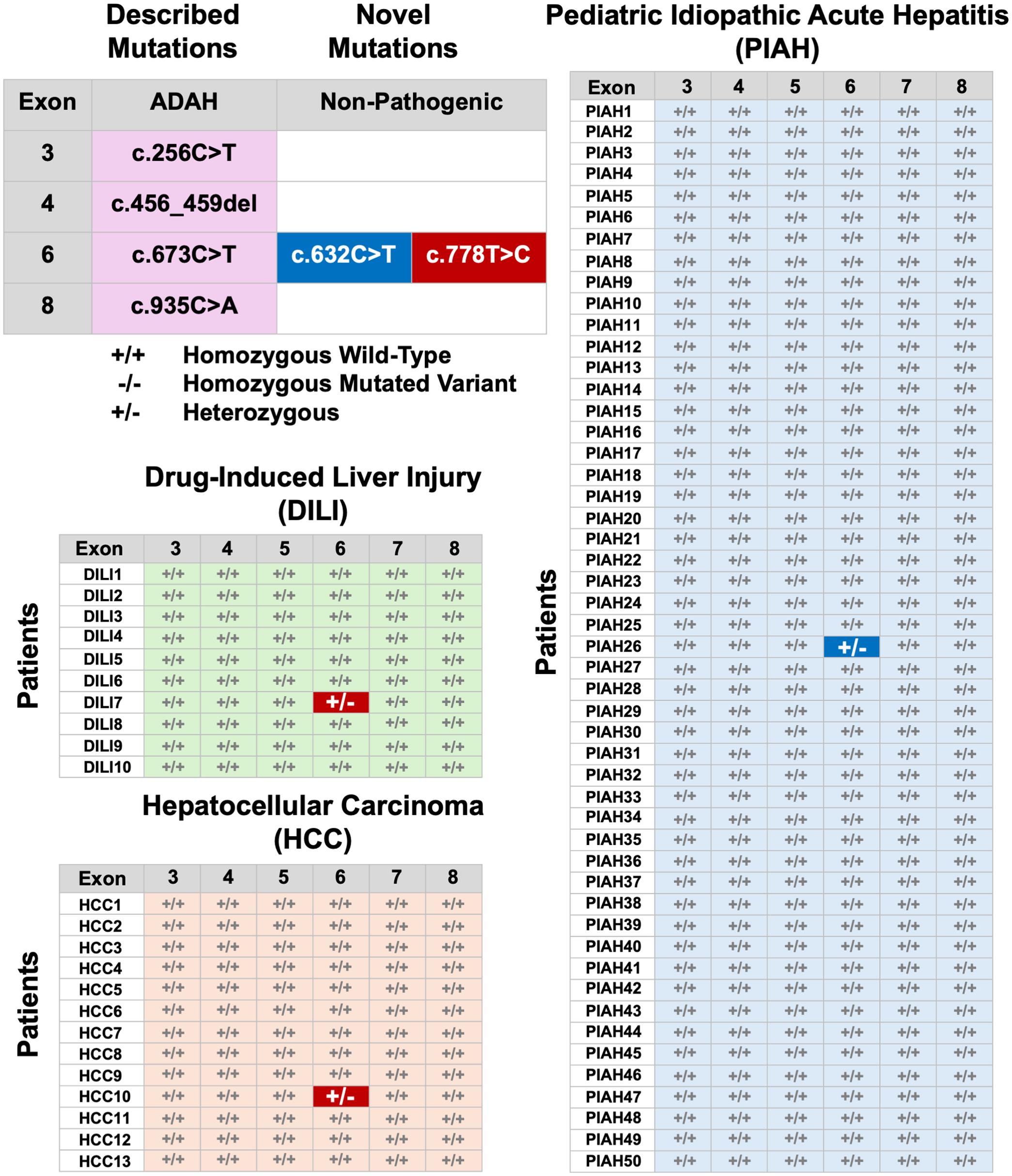 Scheme of previously described pathogenic mutations and novel mutations in the <italic>ACOX2</italic> mRNA region from exon 3 to exon 8.