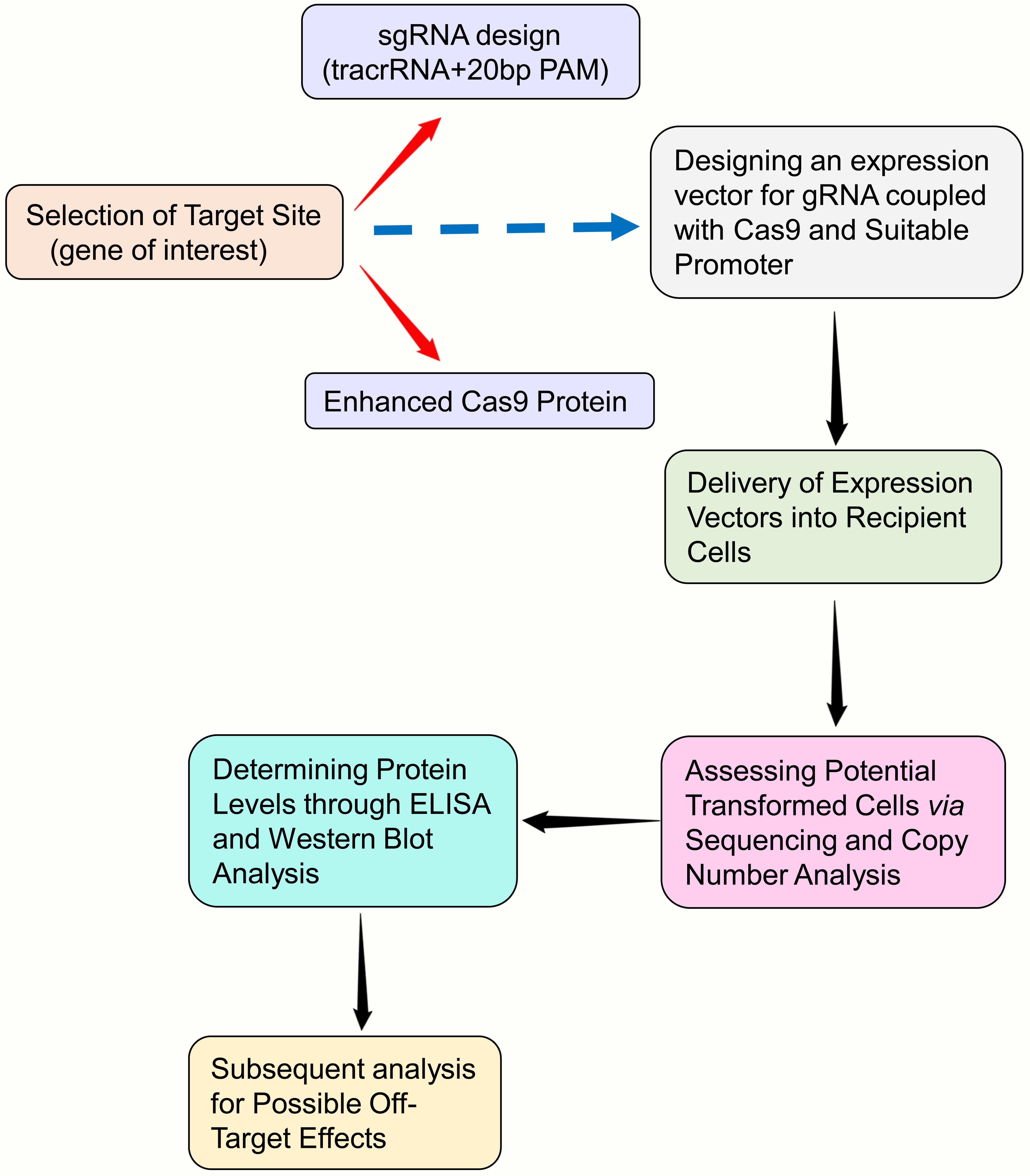 Depiction of CRISPR/Cas9 mediated genome alteration in AD.