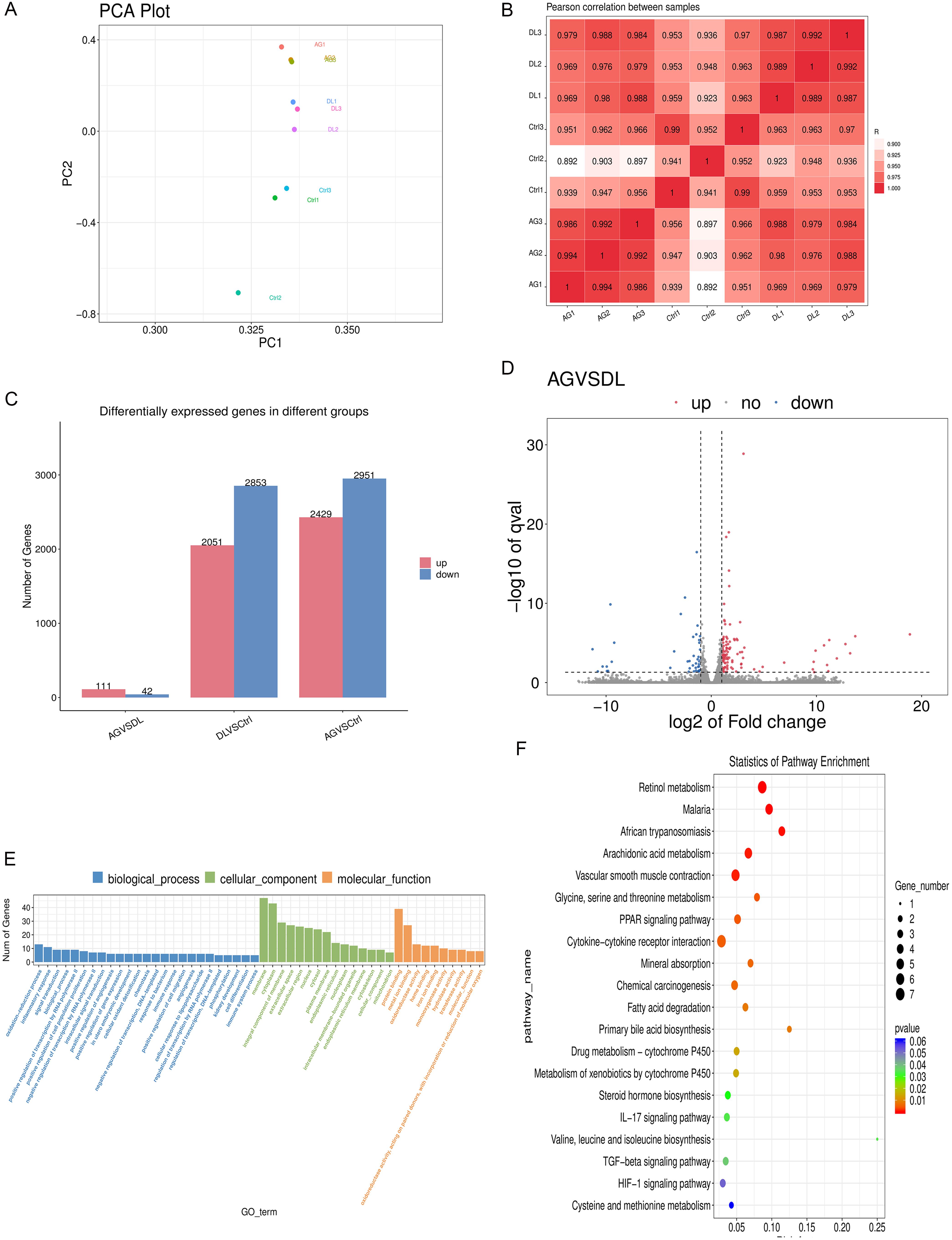 Transcriptomic characteristics of ALF mice.