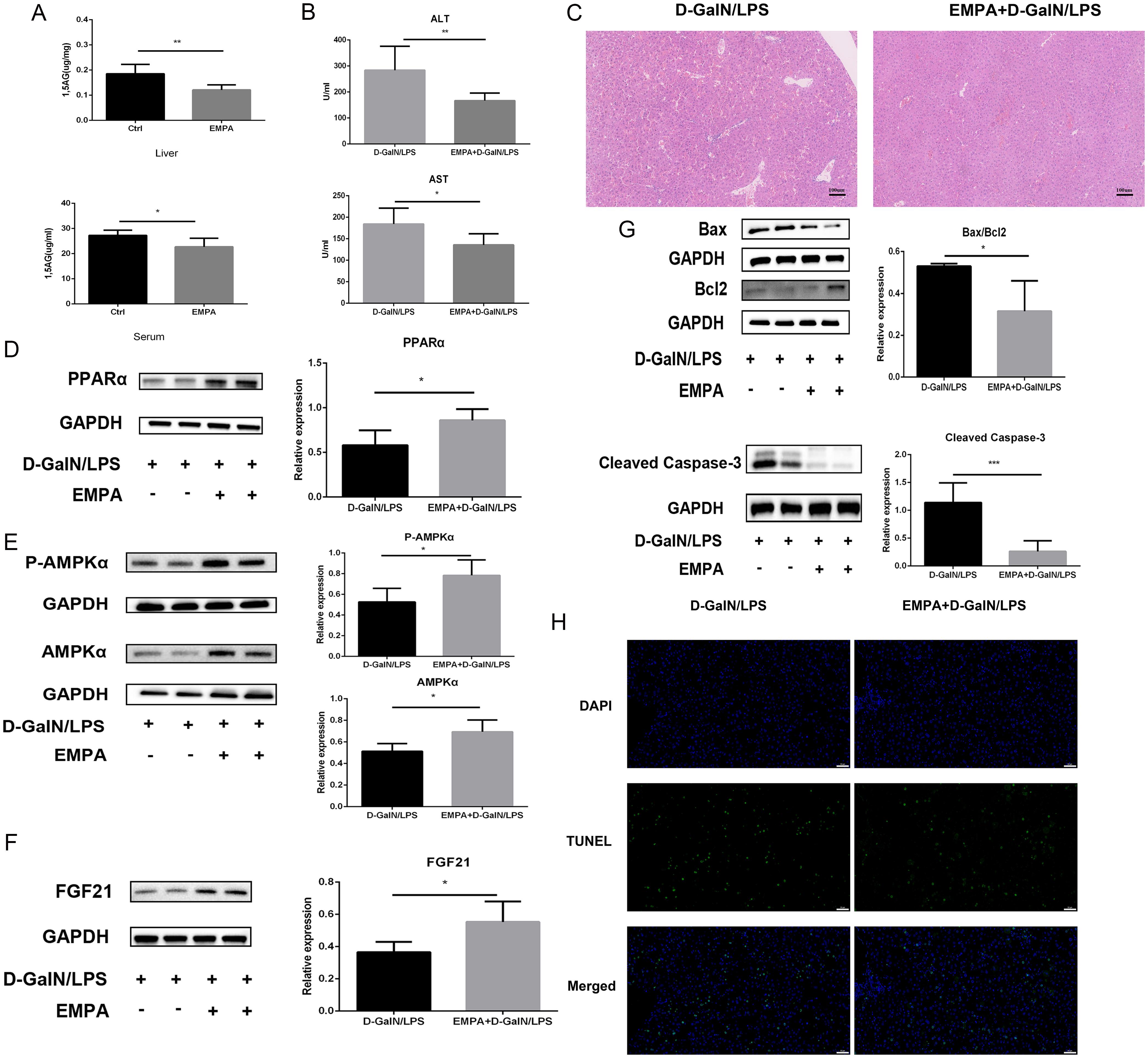 Effects of lowering 1,5AG in ALF mice.