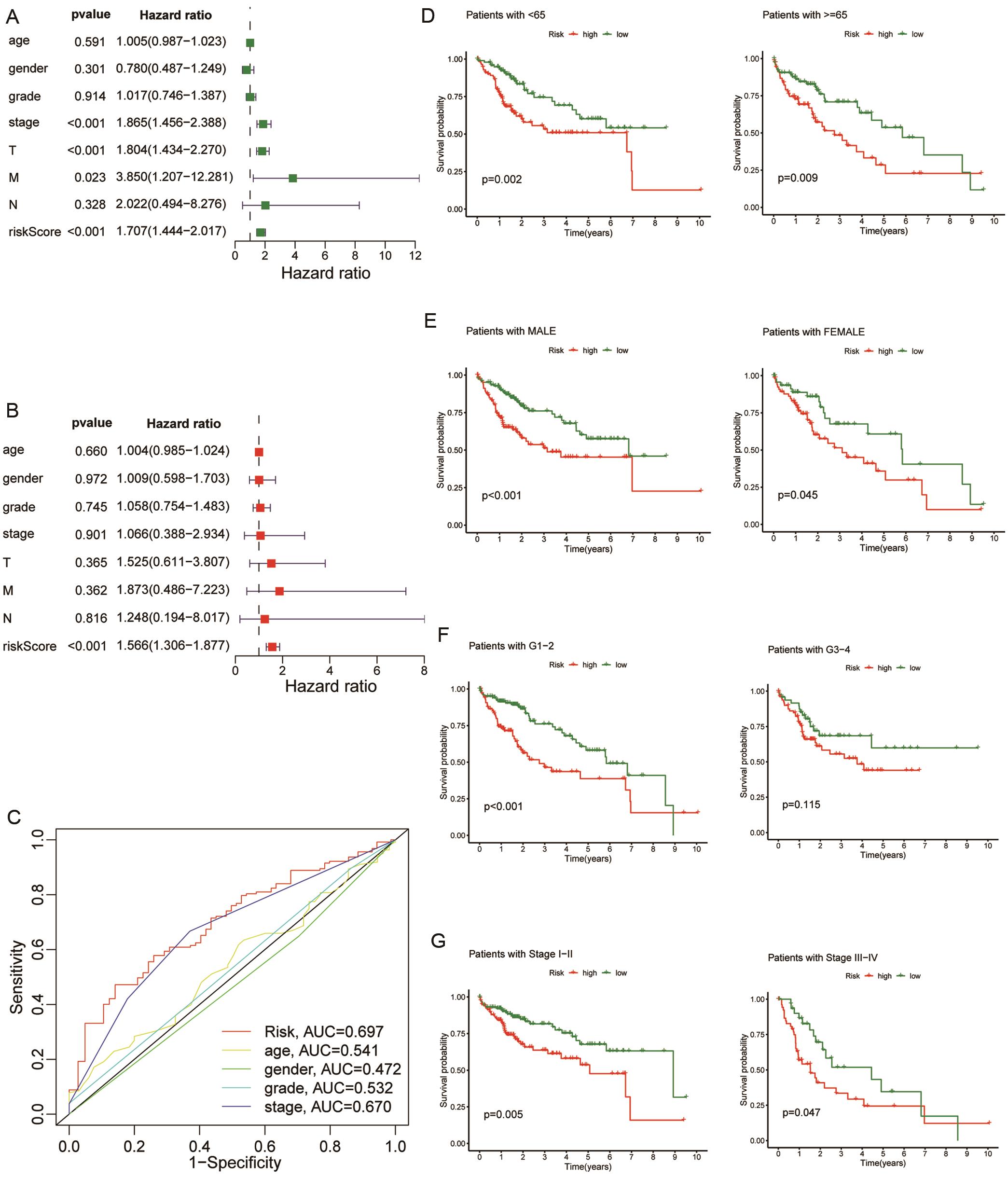 Association of the LRL-based prognostic model with clinical features in HCC.