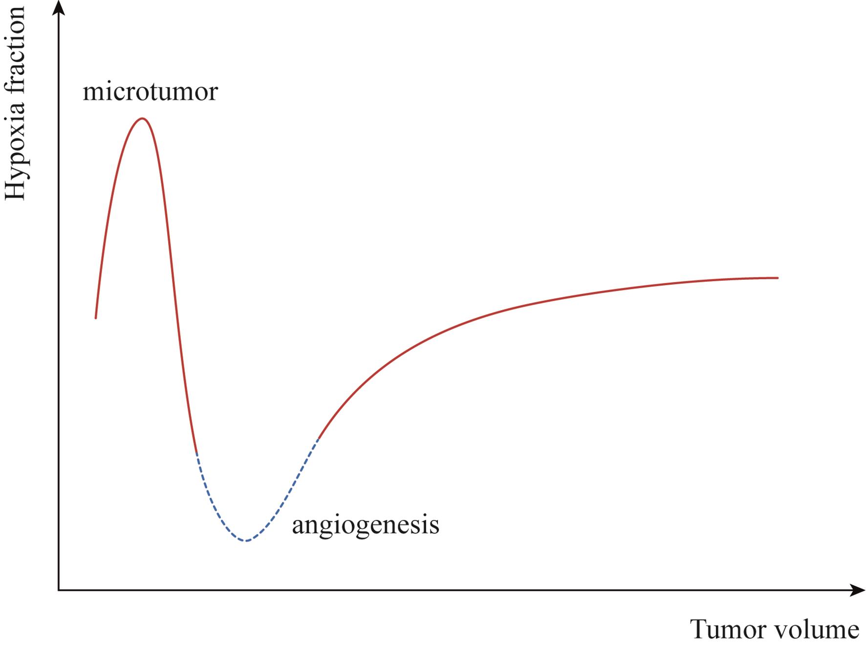 Development of hypoxia during tumor growth: a conceptual diagram based on currently available data. Before the onset of angiogenesis, the microtumor depends upon diffusion for oxygen and nutrients; following angiogenesis, the hypoxic fraction steadily increases in a clinically detectable tumor.