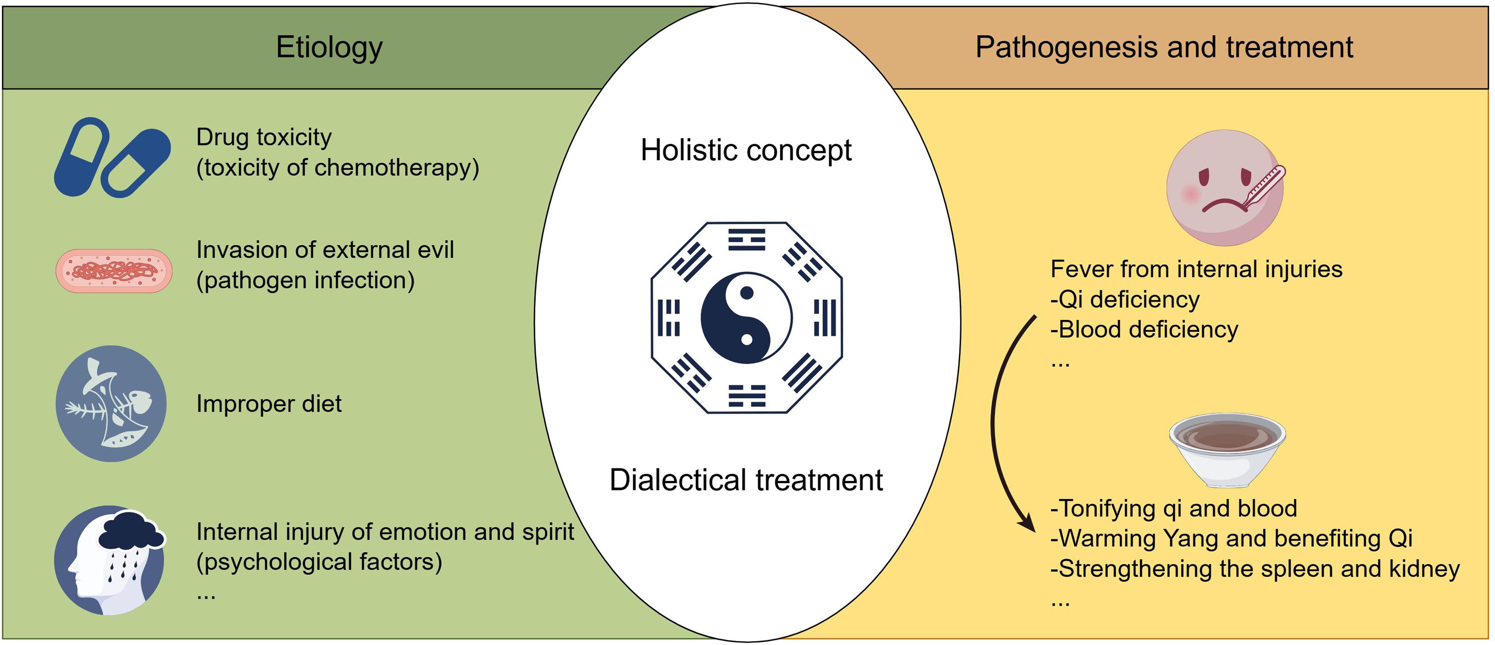 Theoretical basis for the treatment of FN in TCM.