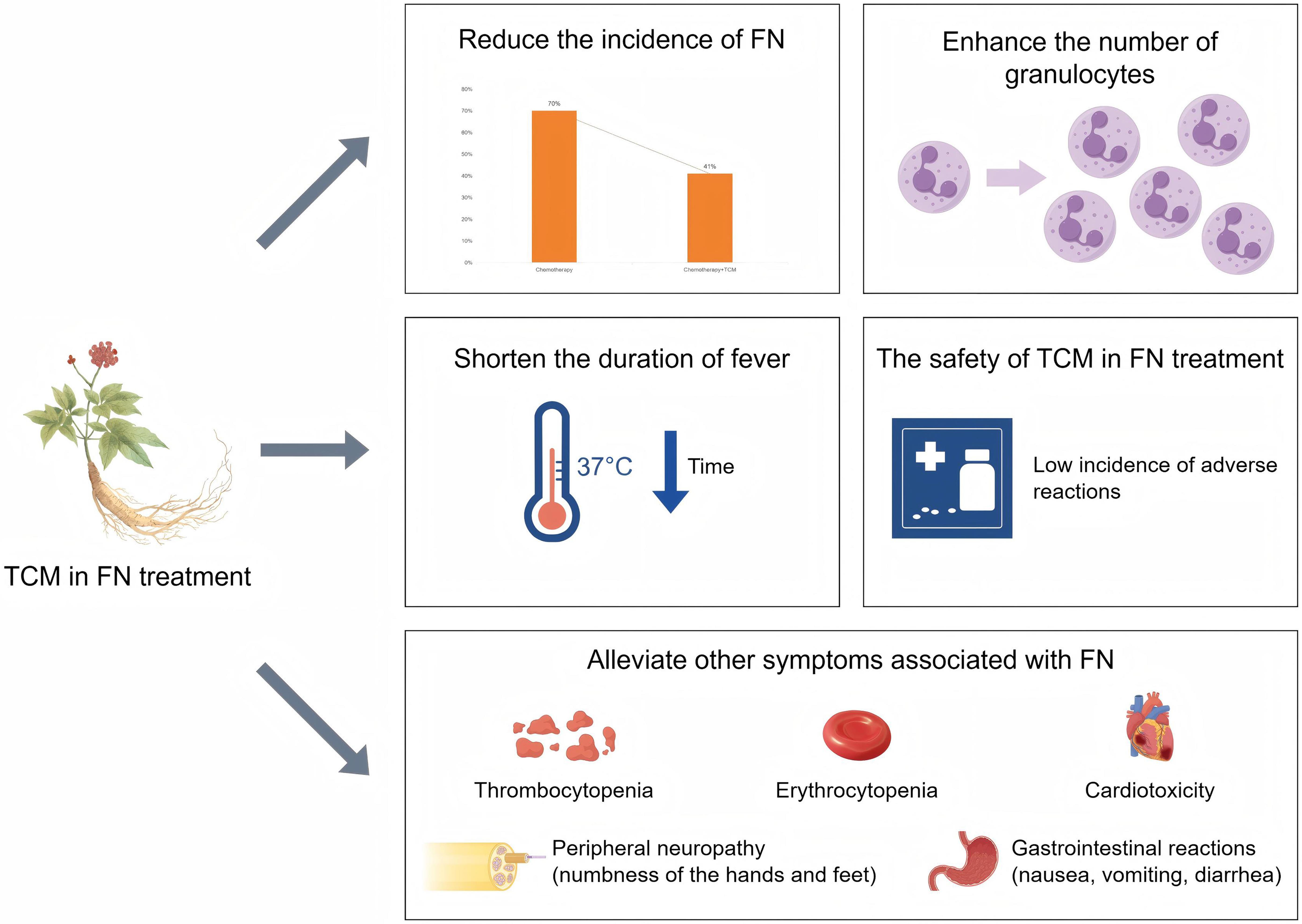 Efficacy and safety of TCM in FN treatment.