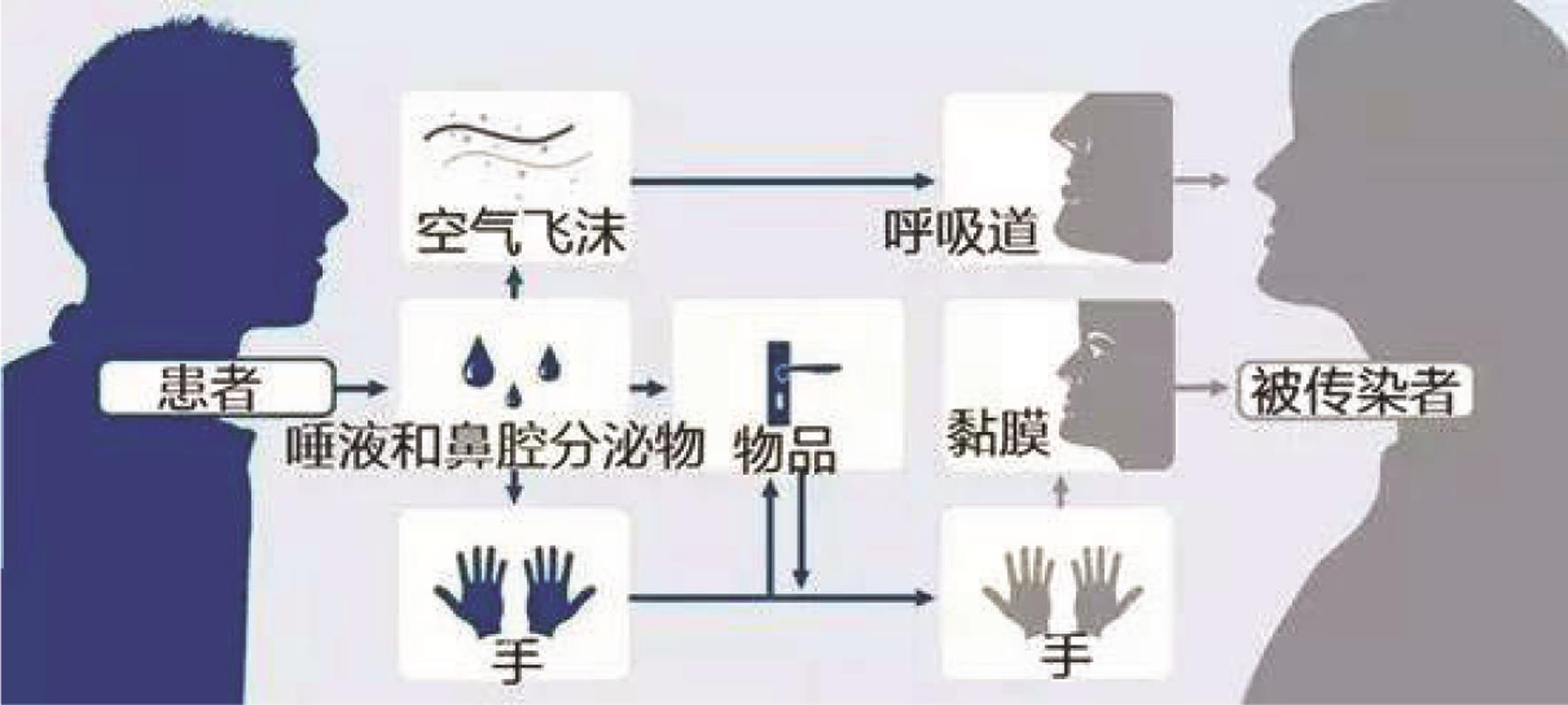 冠状病毒人传染人的主要途径：呼吸道、黏膜、手接触。