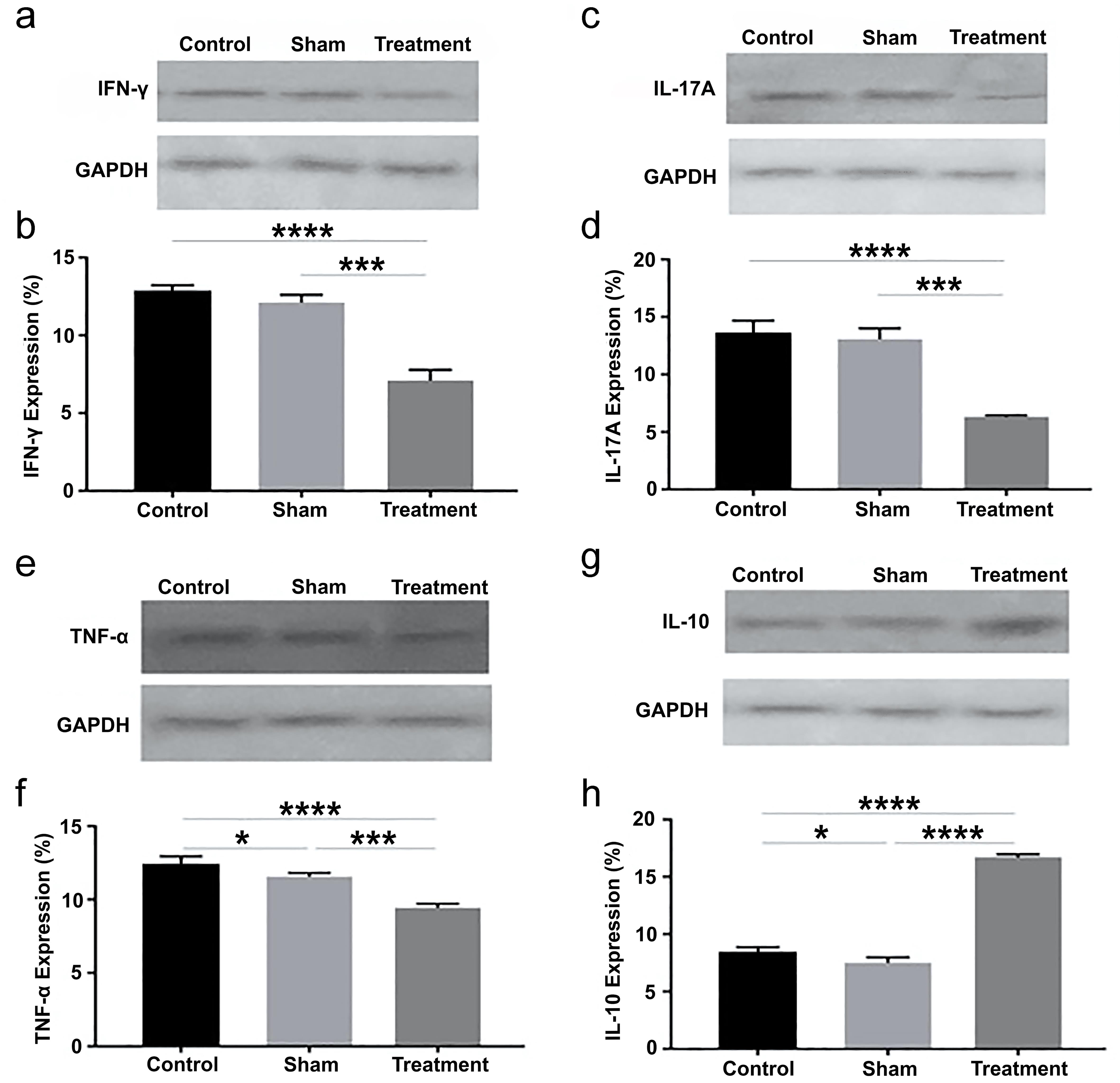 Effects of rosiglitazone on the expression of inflammatory cytokines IFN-γ, IL-17A, and TNF-α, as well as the anti-inflammatory cytokine IL-10, in the hippocampus following PTZ-induced kindling.