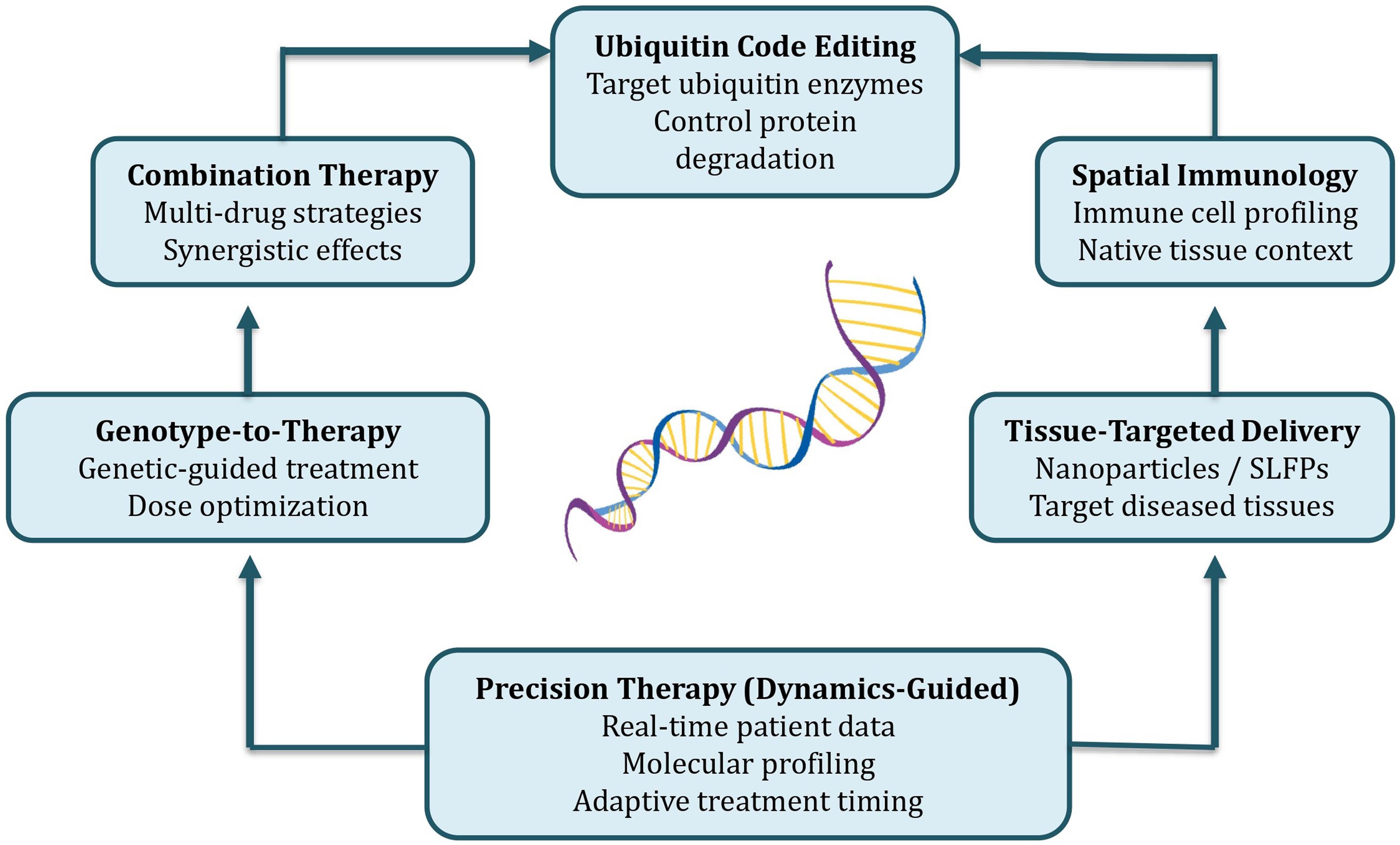 Future directions in precision immunotherapy and ubiquitin-targeted strategies.