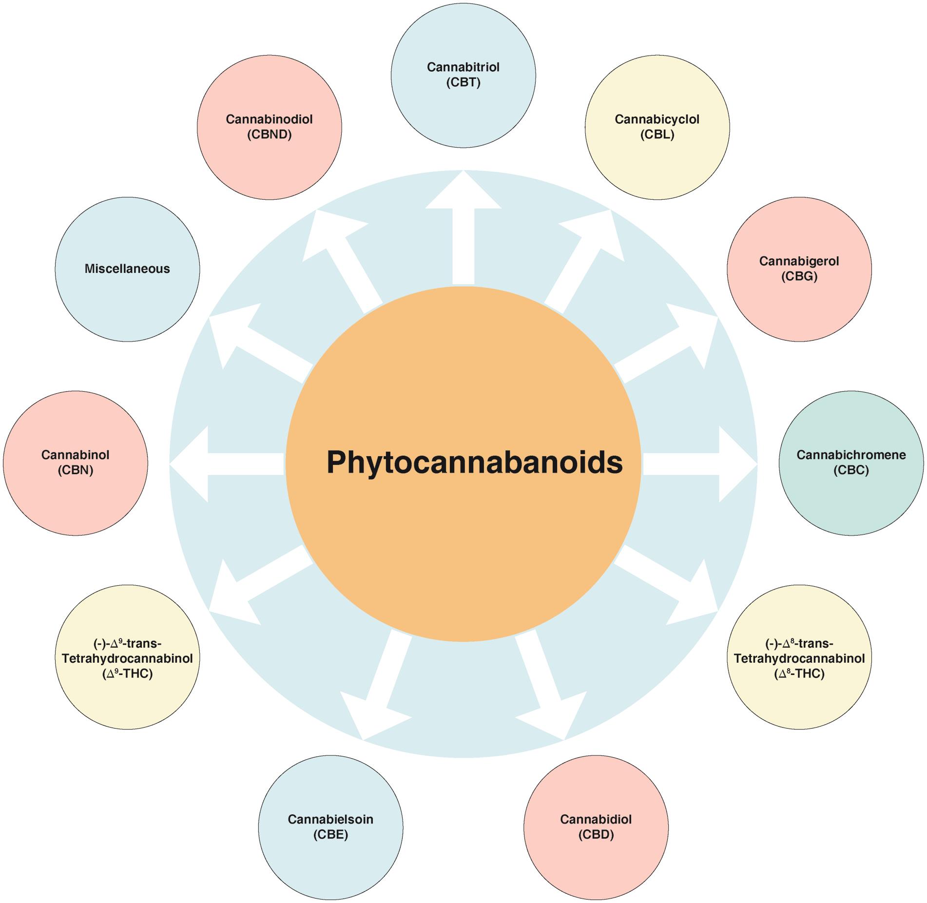 Various classes of cannabinoids isolated from <italic>C. sativa</italic>.