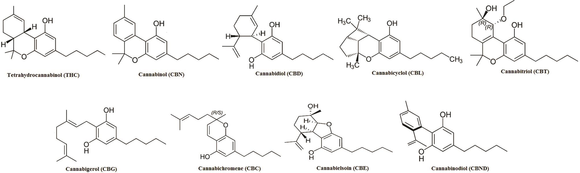 Structures of various cannabinoids isolated from <italic>C. sativa</italic> and their derivatives.