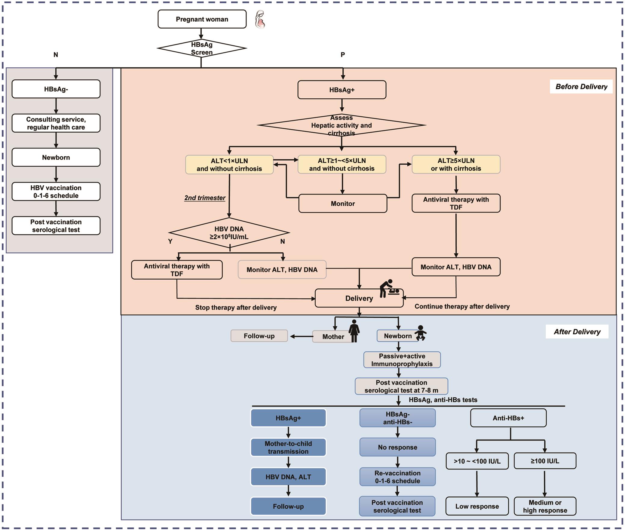 Management Algorithm For Prevention Of Mother-to-child Transmission Of ...