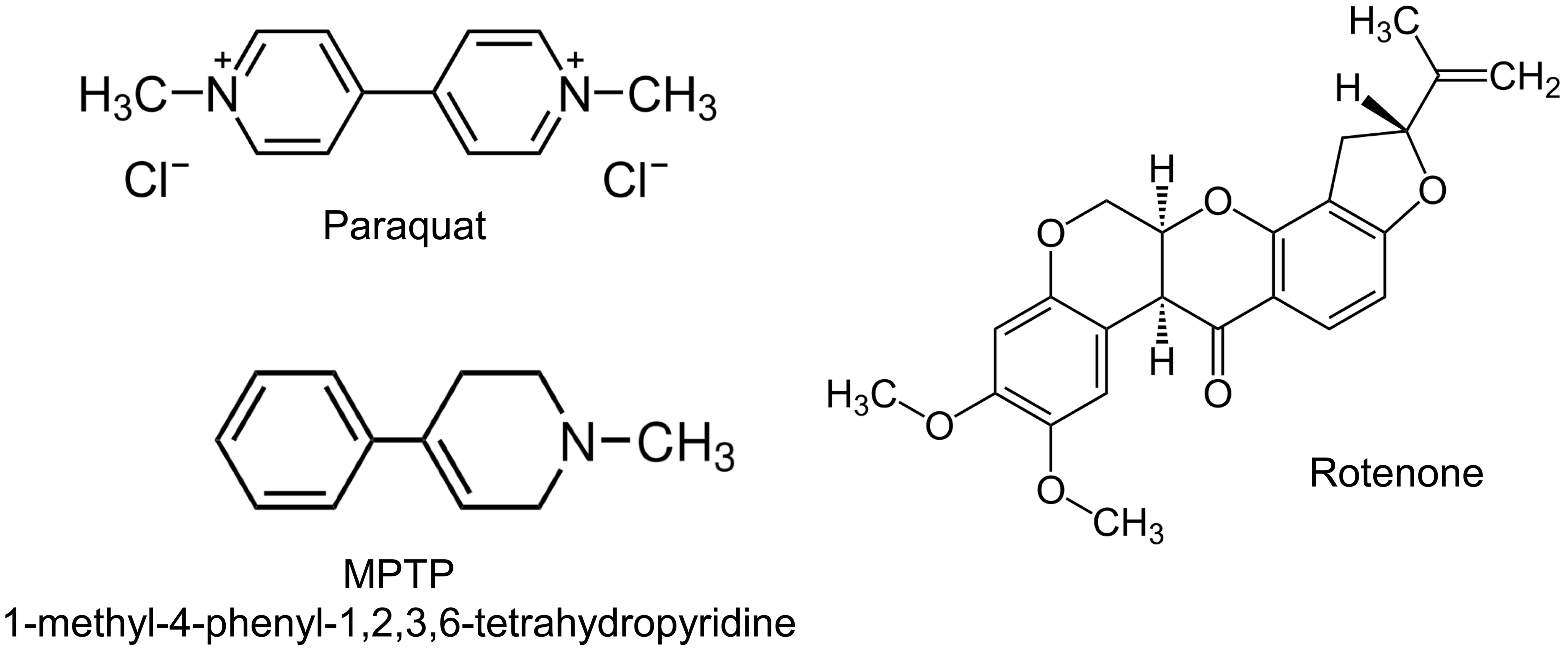 The Mitochondrial Interactome in Parkinson’s and Huntington’s Diseases ...