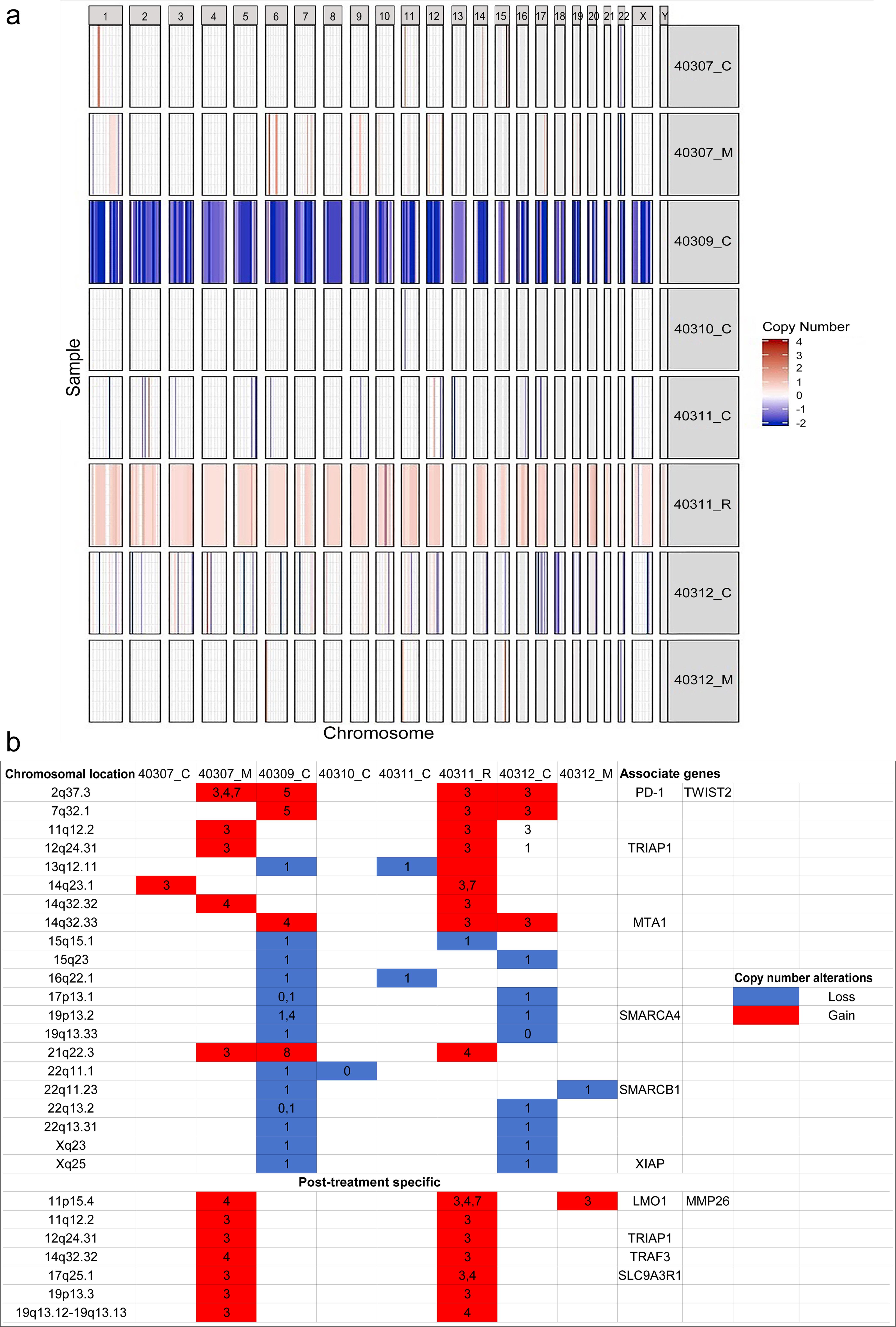 Somatic copy number alterations (SCNA) in malignant Rhabdoid tumor.