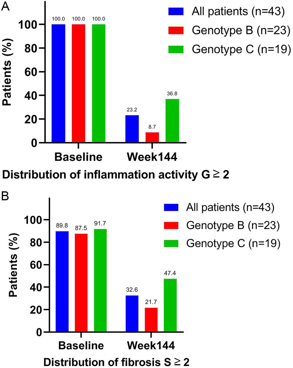 Proportions of patients with inflammatory activity G ≥ 2 (A) and with fibrosis S ≥ 2 (B), based on the Scheuer scoring system, in 43 patients with HBeAg-positive chronic hepatitis B at baseline and 144 weeks after treatment with entecavir in relation to genotypes.