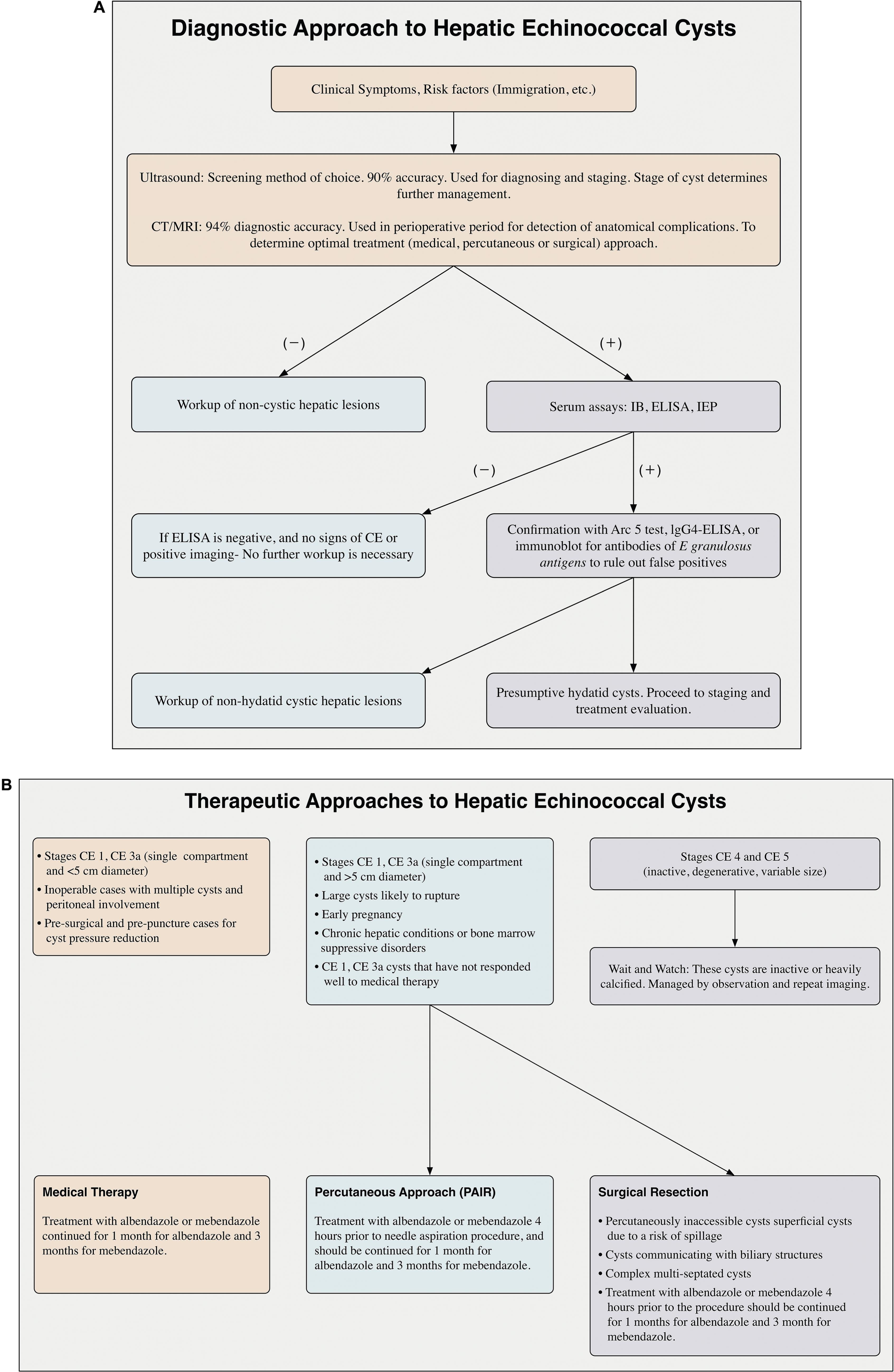 Management algorithms for cystic echinococcosis.