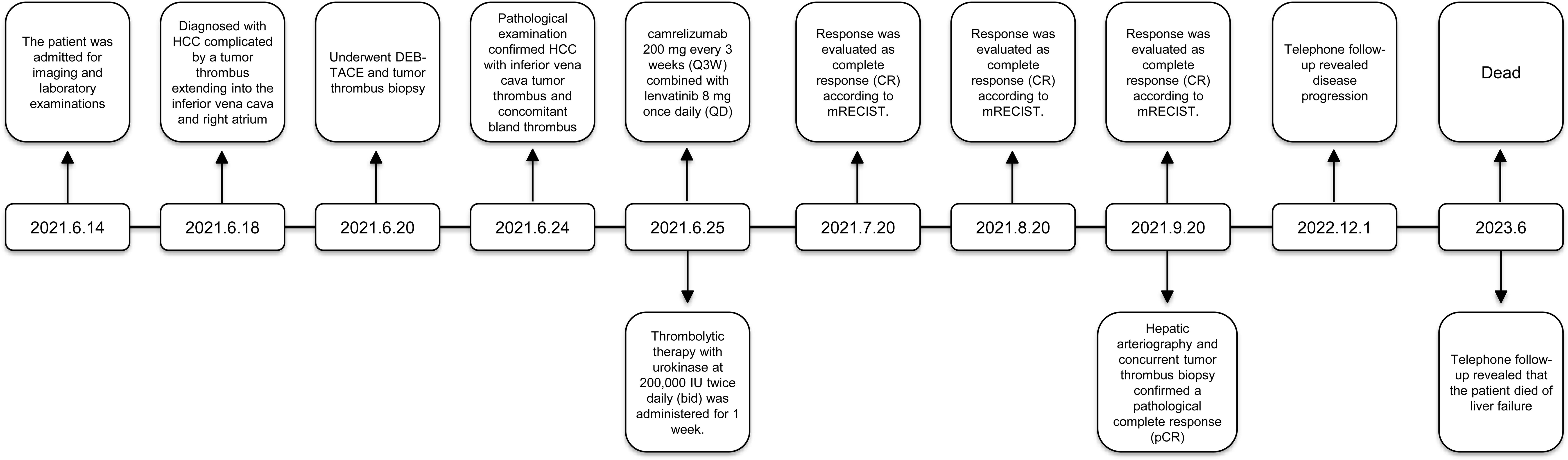 Clinical timeline of the patient.