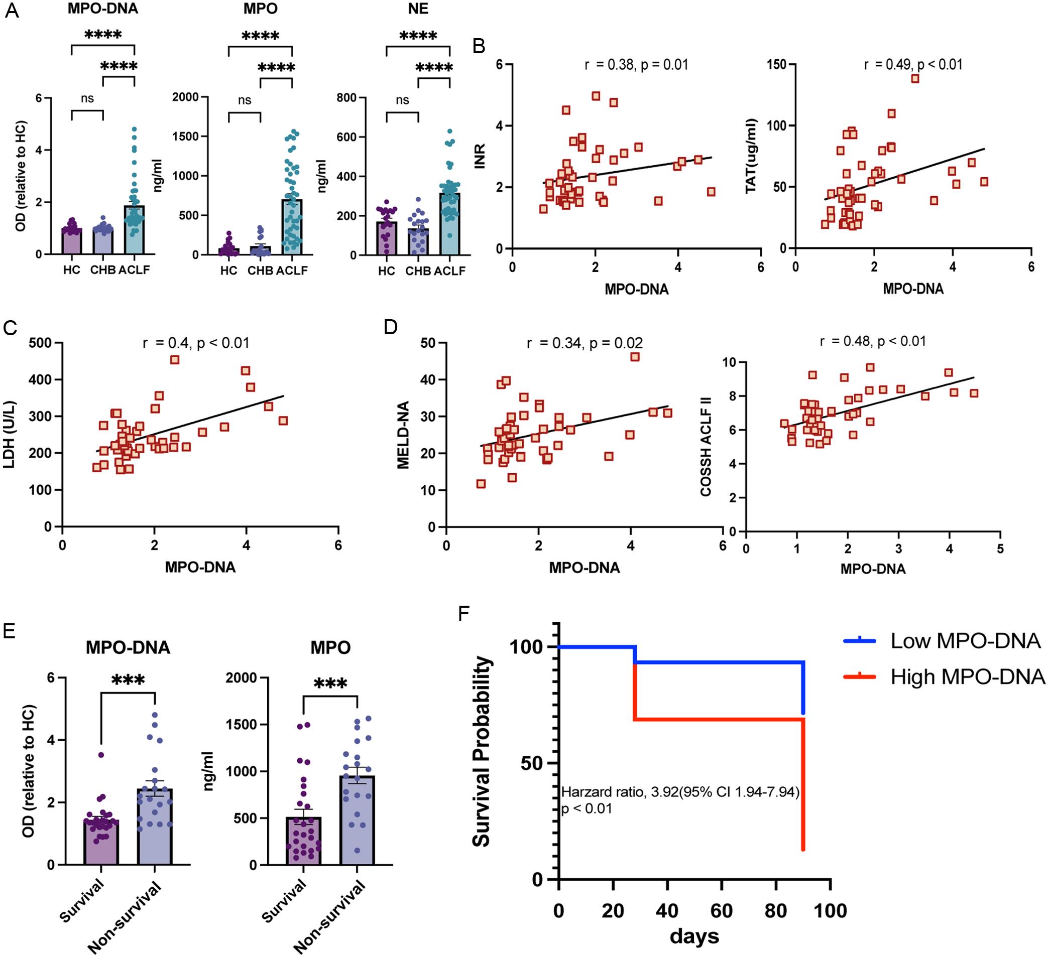 Plasma NETs markers and clinical parameters in patients with HBV-ACLF.