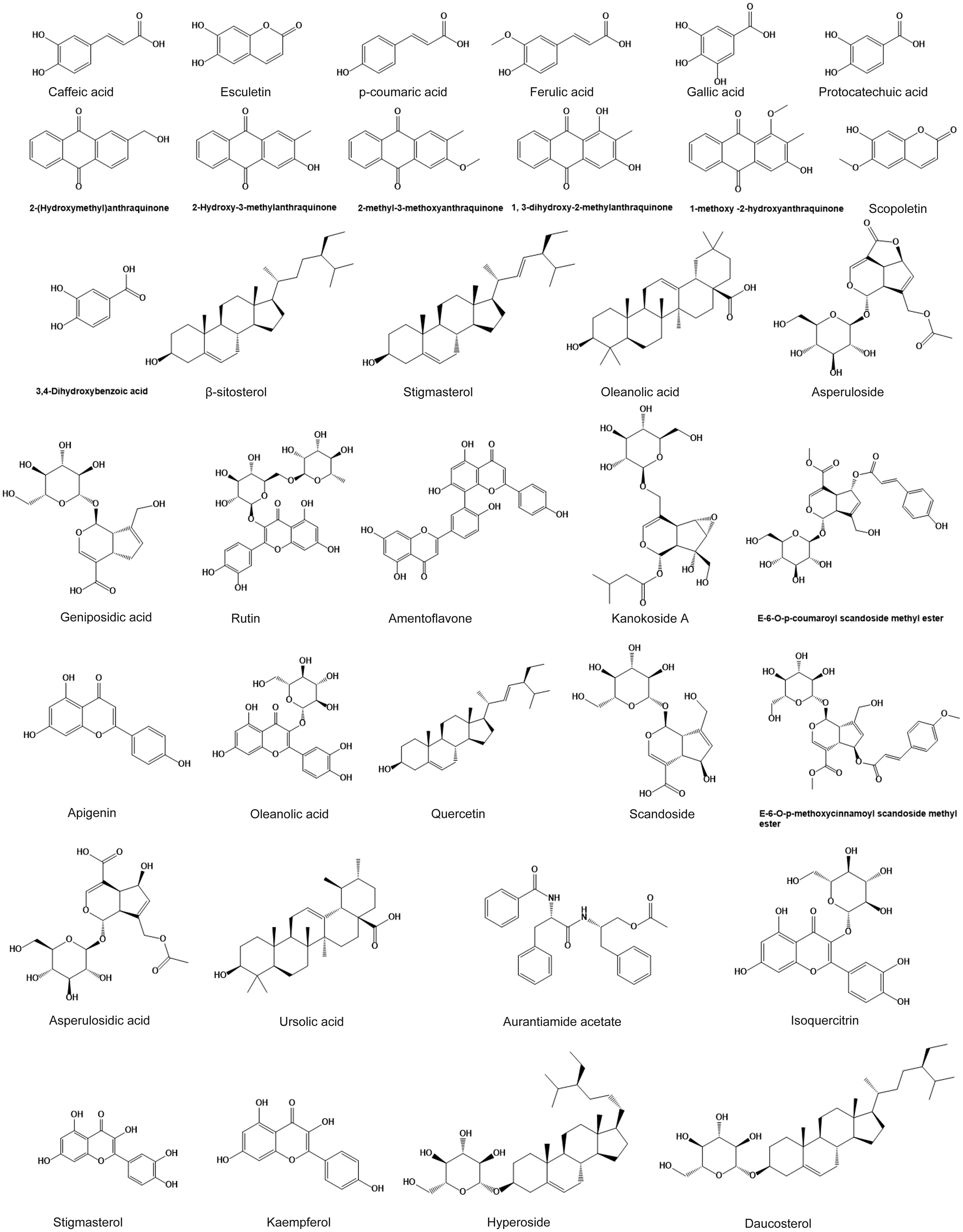 Structural formula of the active anticancer compound in <italic>Scleromitrion diffusum</italic>.