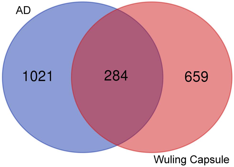 Potential targets for Wuling capsules in the treatment of AD.