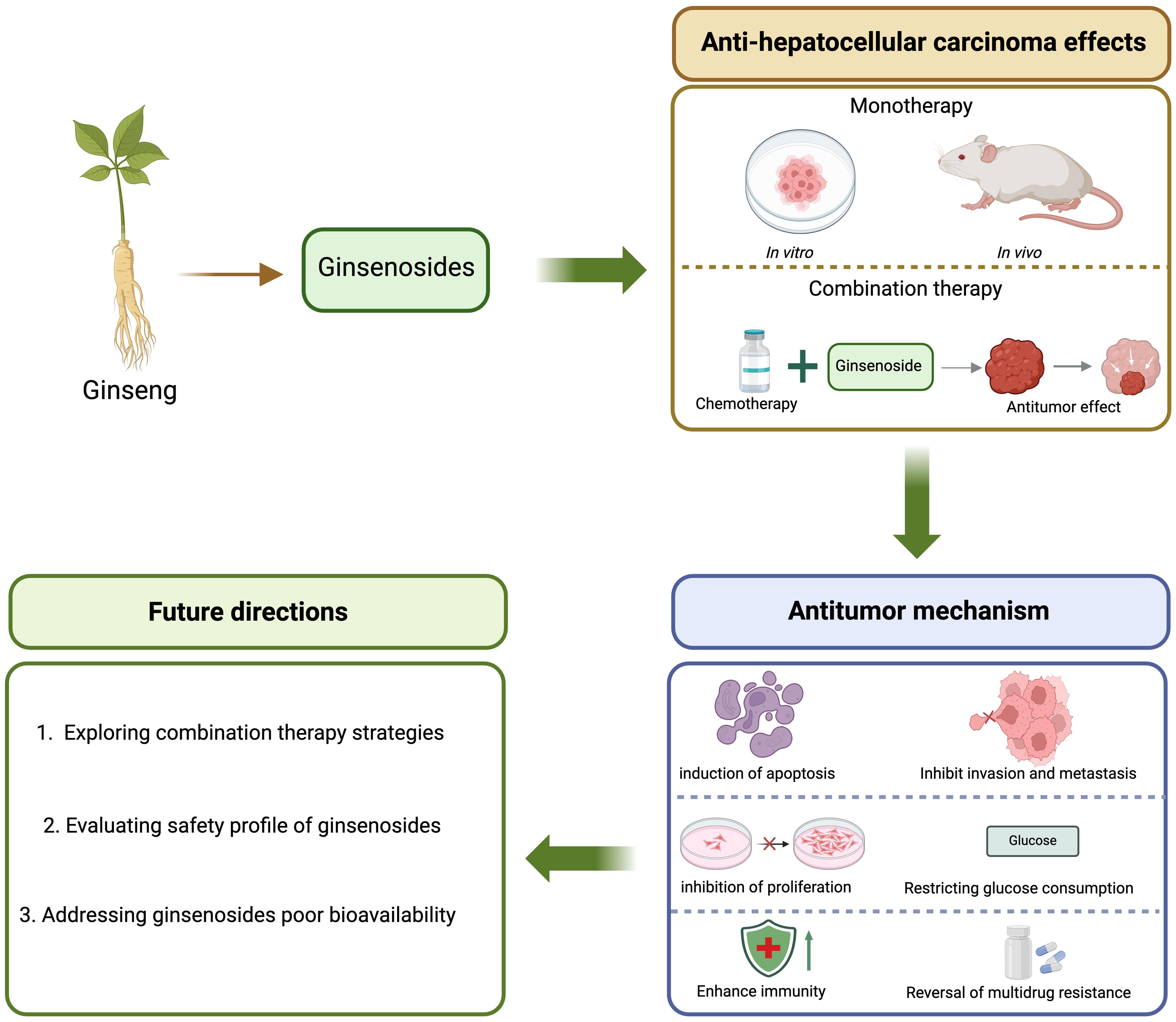 Ginsenosides and their anti-hepatocellular carcinoma mechanisms. Ginsenosides and their anti-hepatocellular carcinoma mechanisms.